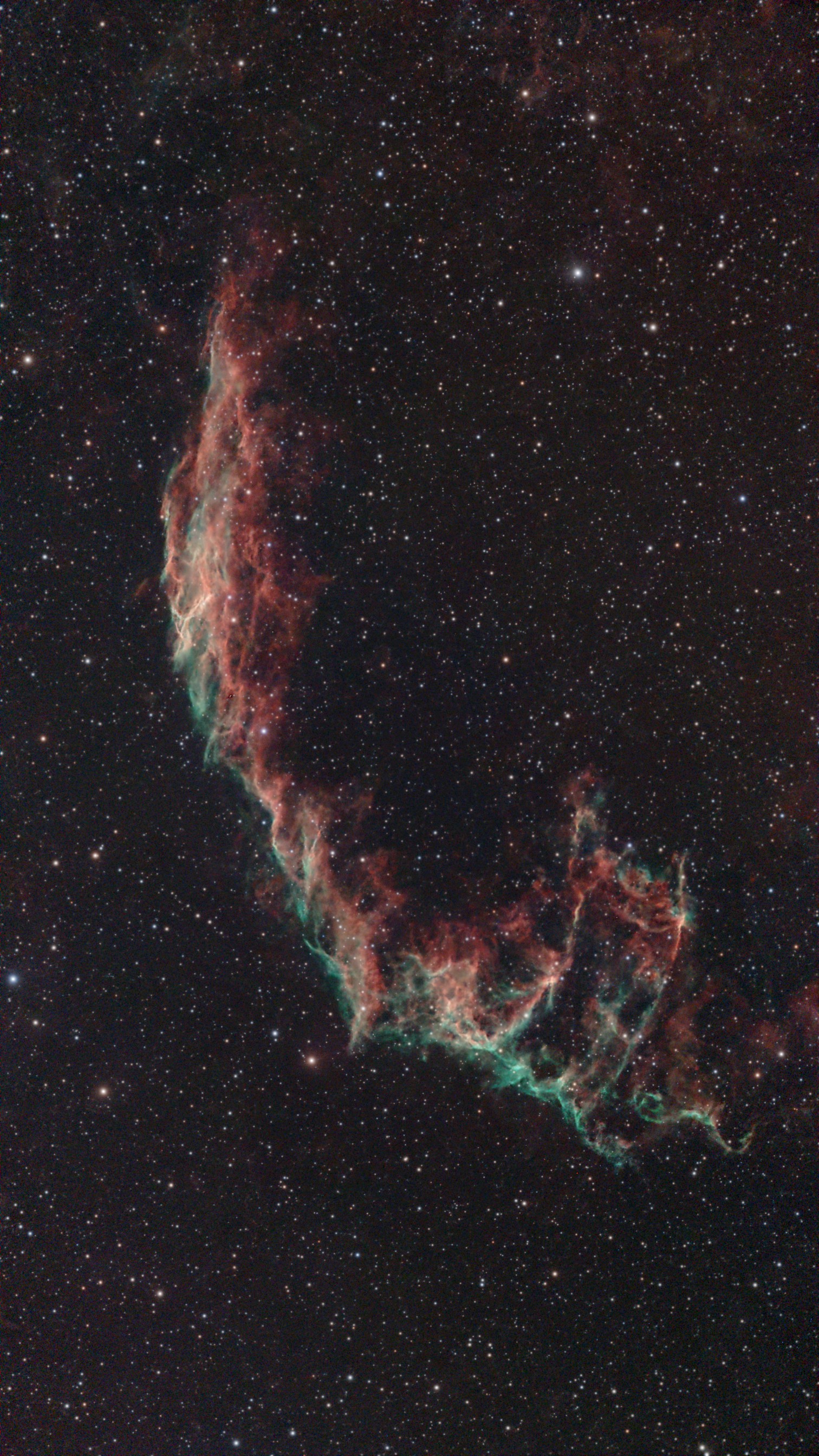 Stacked_521_mosaic_NGC 6992_10.0s_LP_20250701-050114_peto.jpg