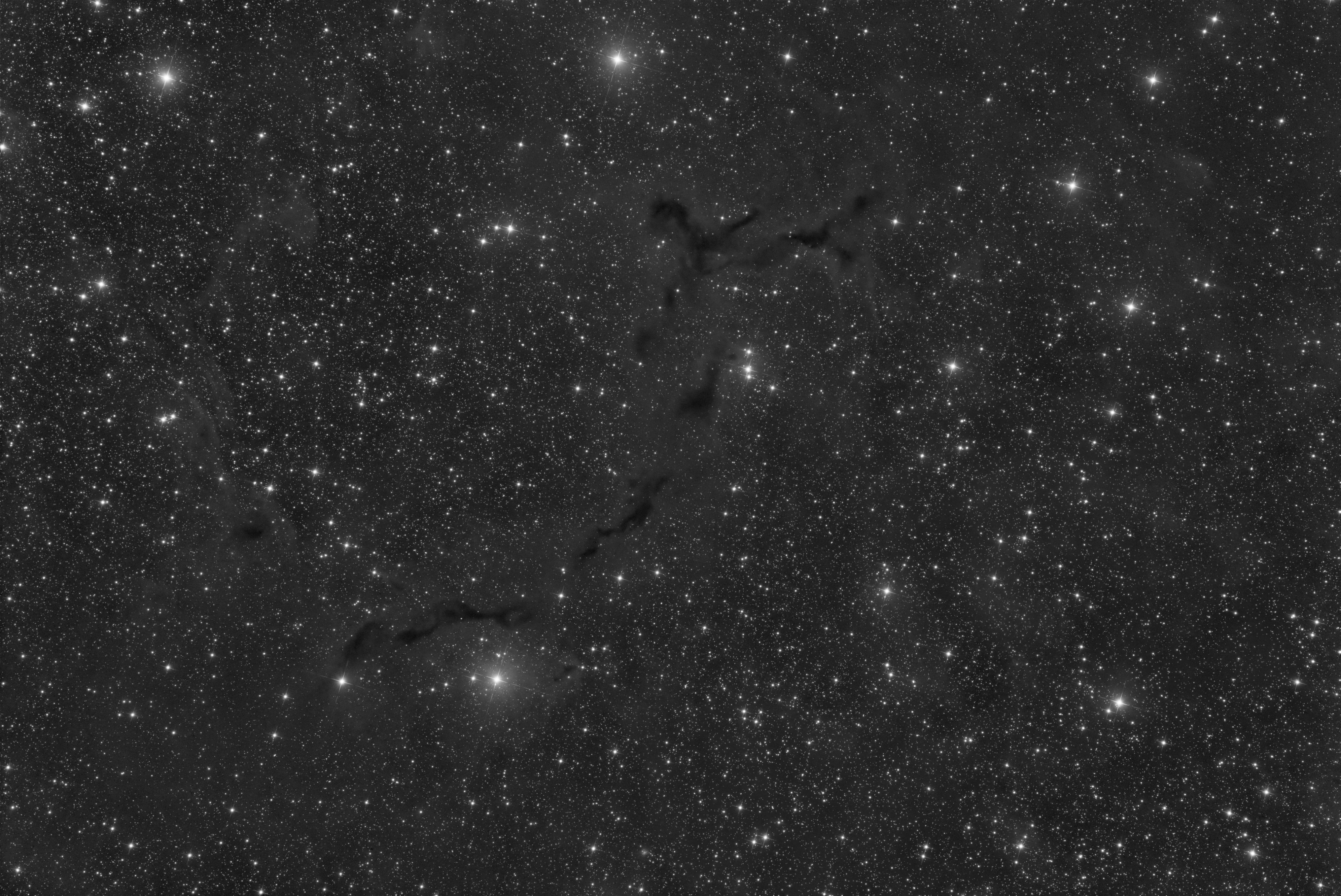 B150 - Sea Horse - Red channel_AF.jpg
