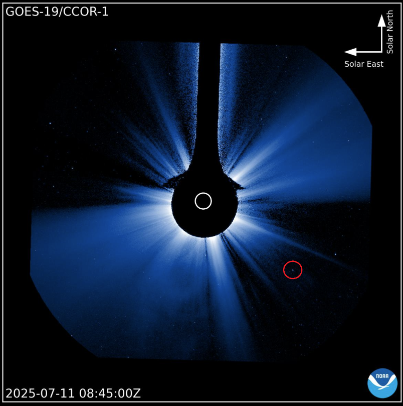 GOES-19_CCOR-1_2025-07-11.png