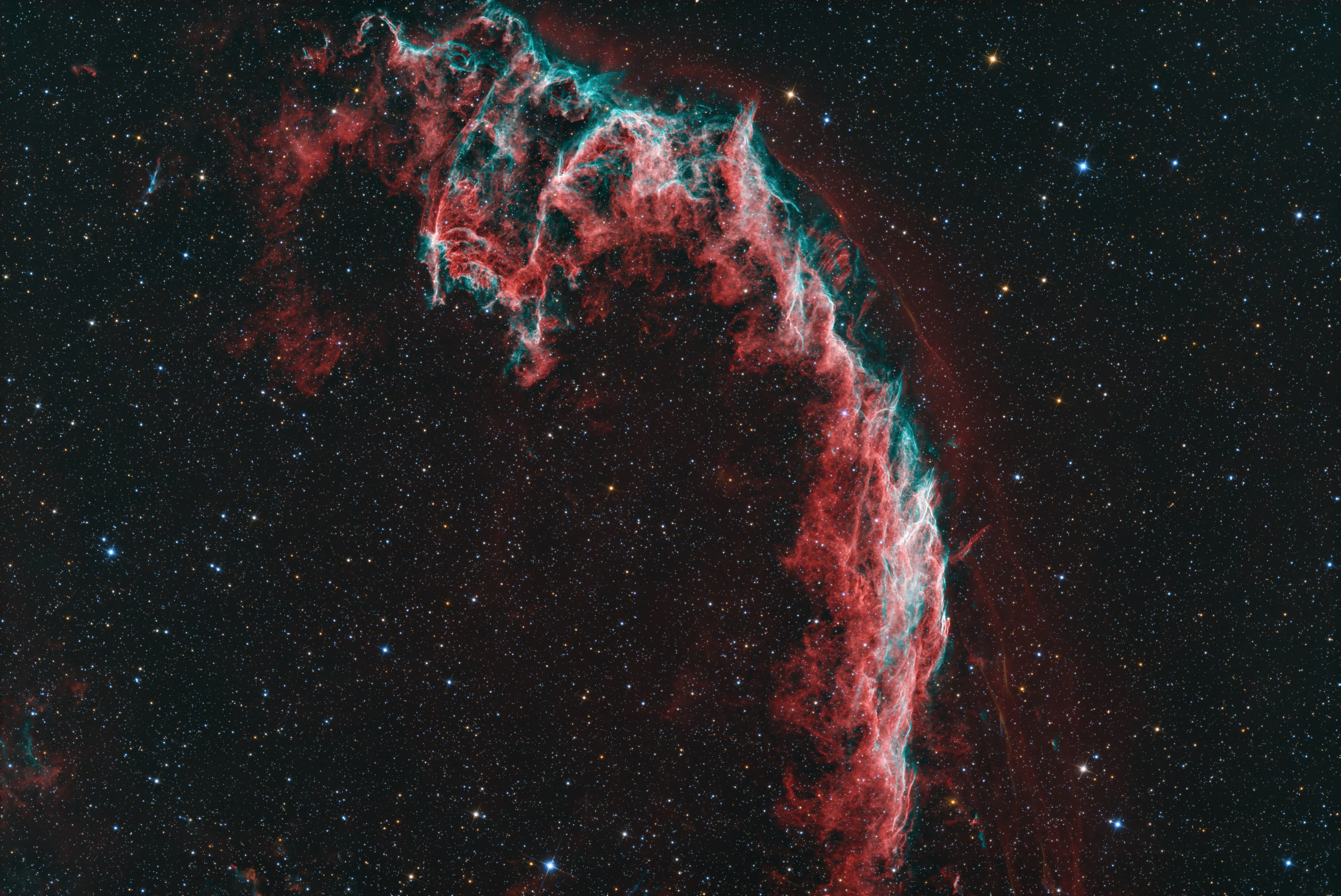 NGC 6995_AF.jpg