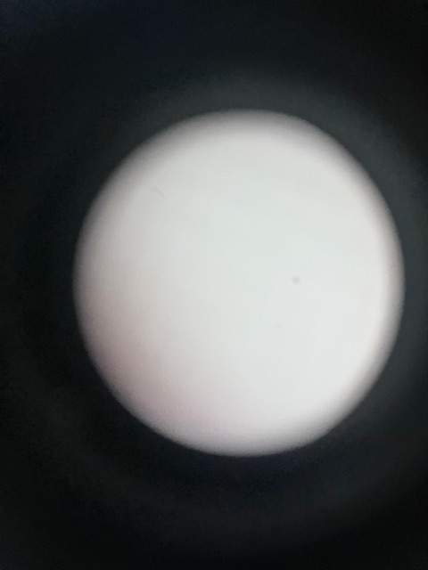 IMG_4222.jpeg