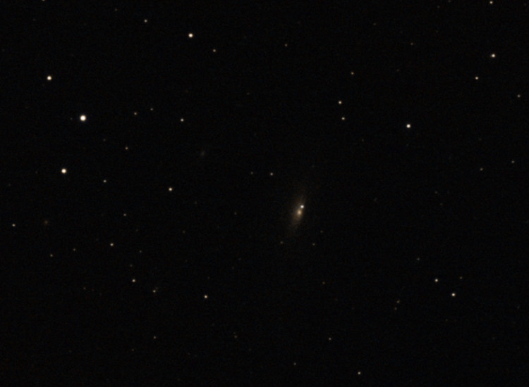supernova SN 2025 rbs v NGC7331.jpg