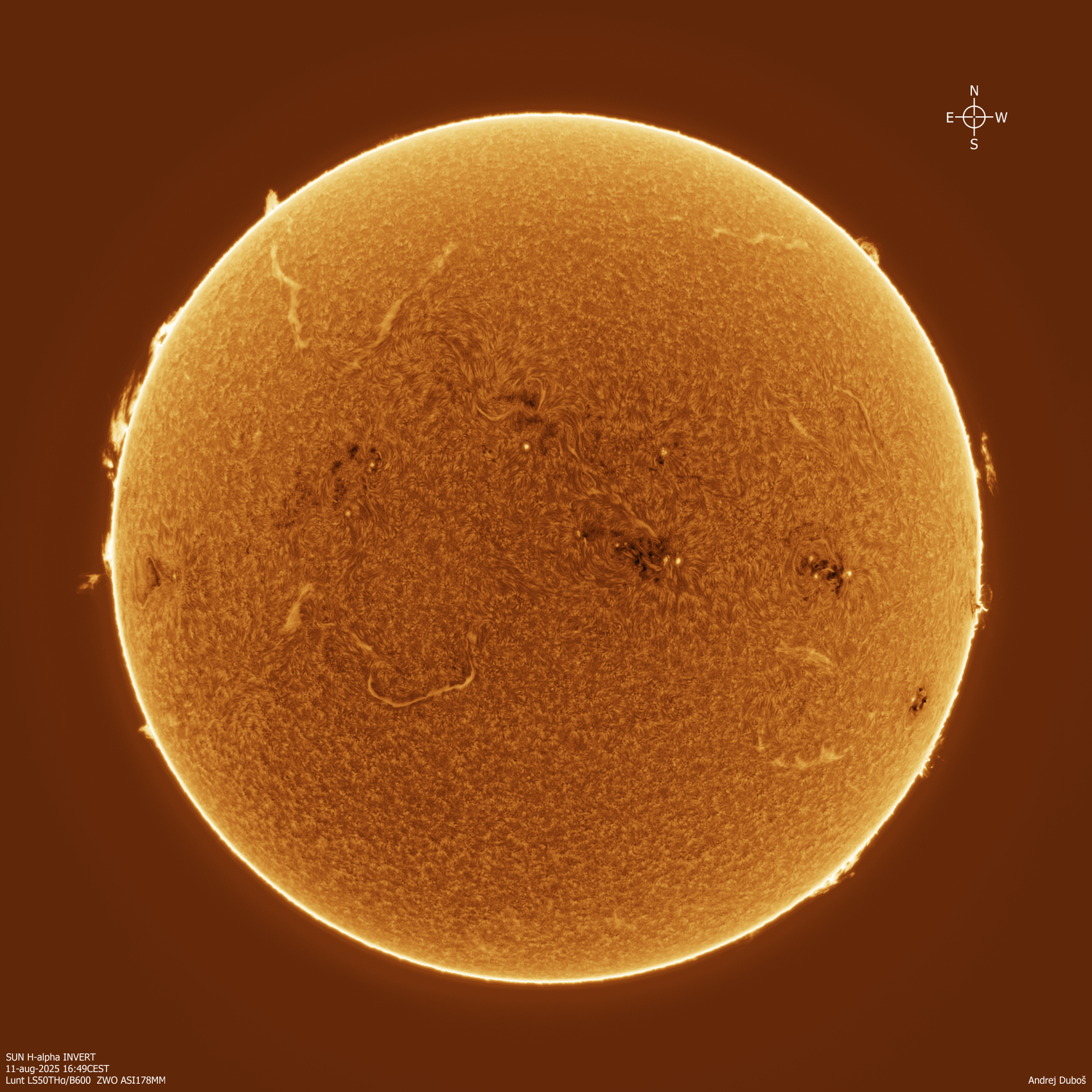 2025-08-11_16-49CEST Halpha INVERT.jpg