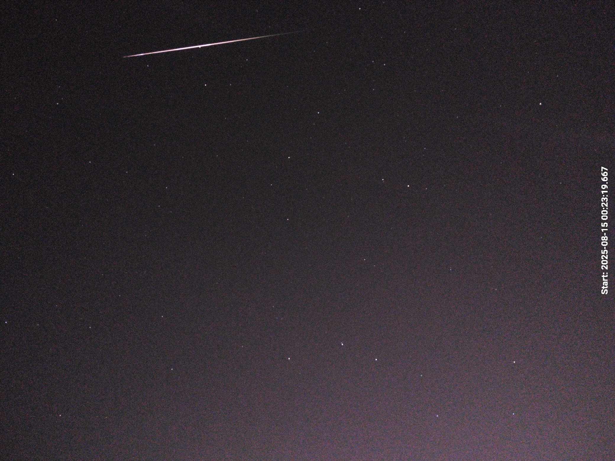 Perzeida_2025_002338