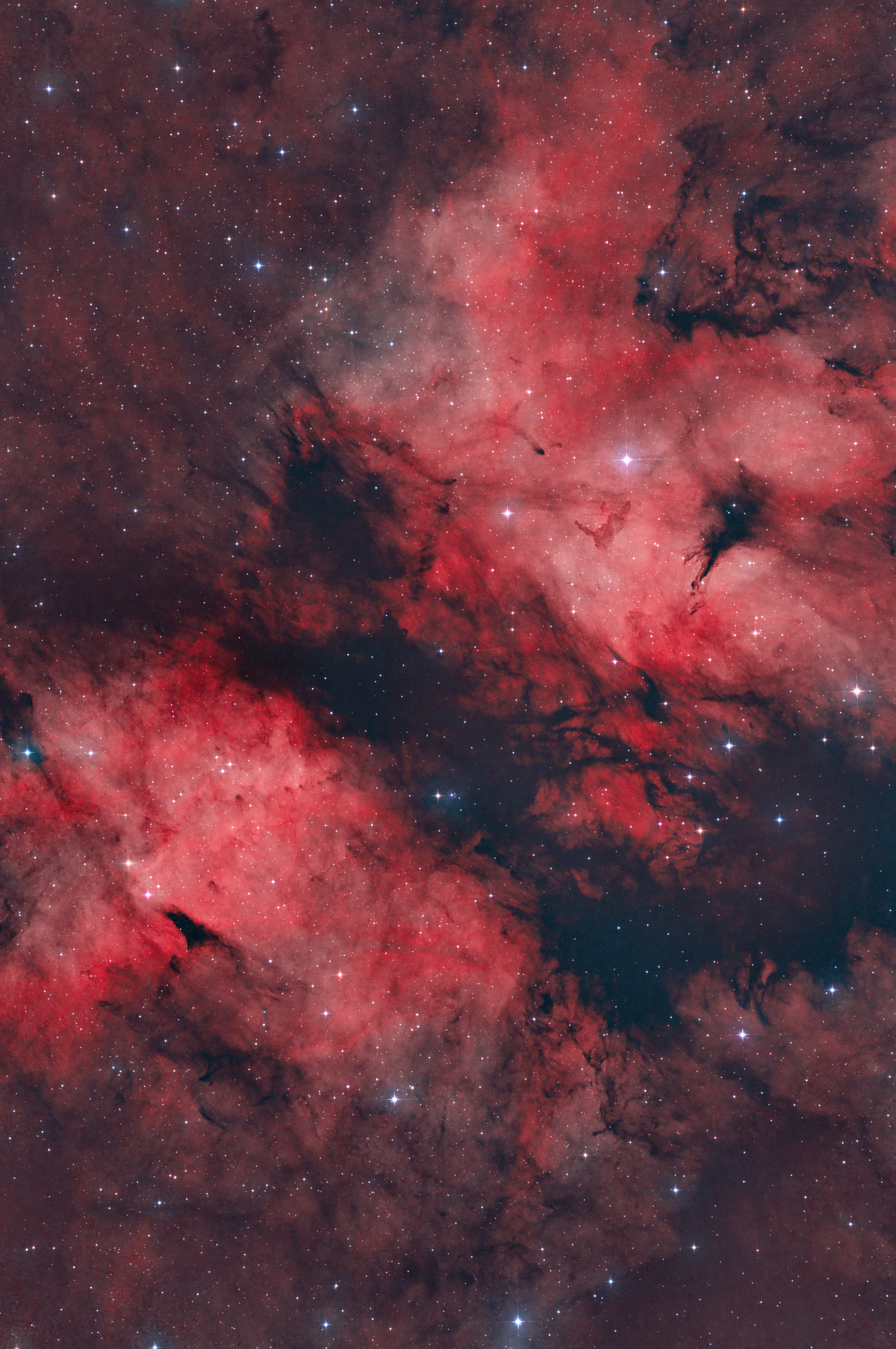 IC1318_BI_SHO2.jpg