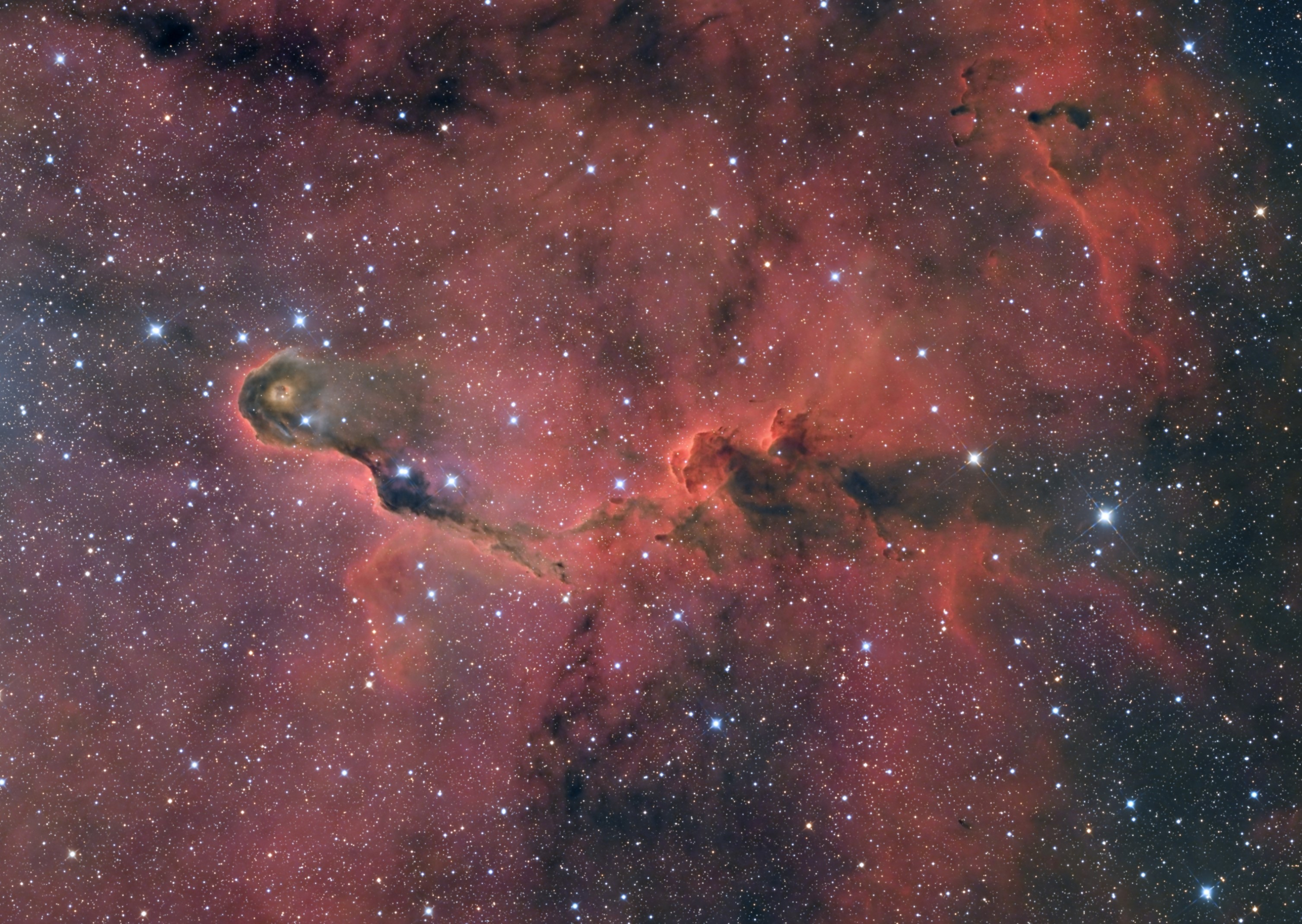 IC 1396_HaRGB_AF.jpg