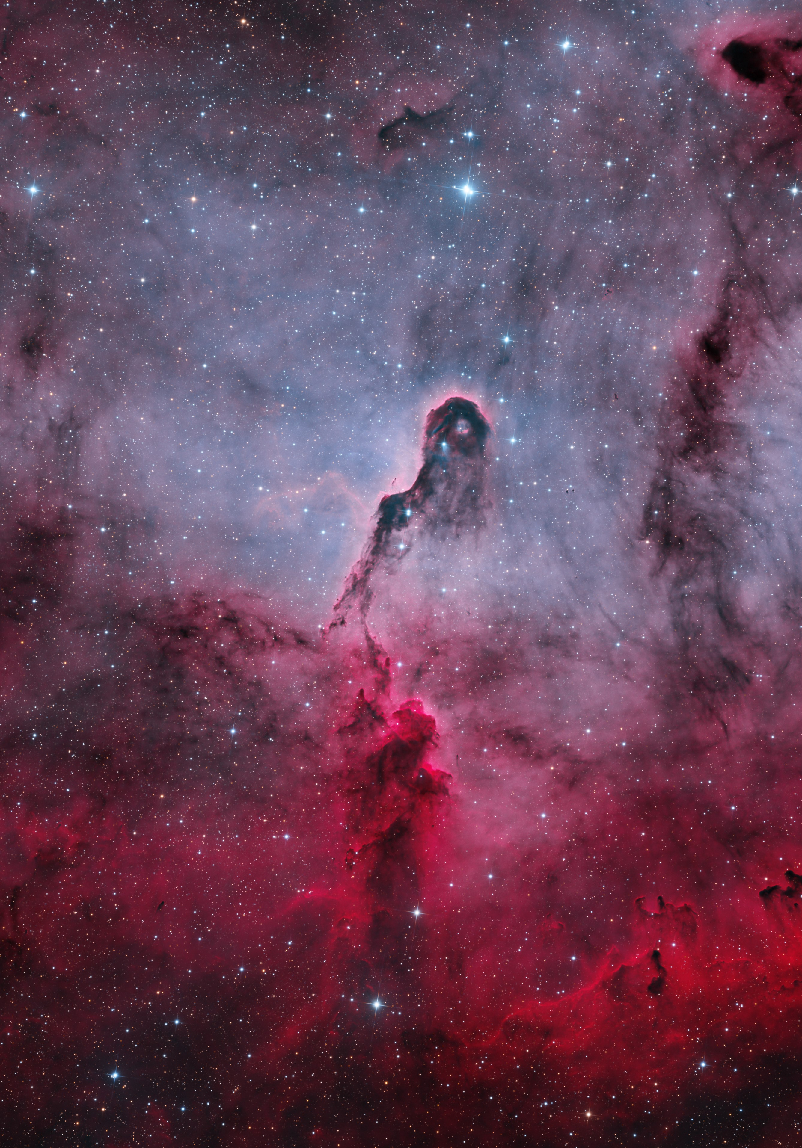 IC 1396 - Bicolor crop final_AF.jpg