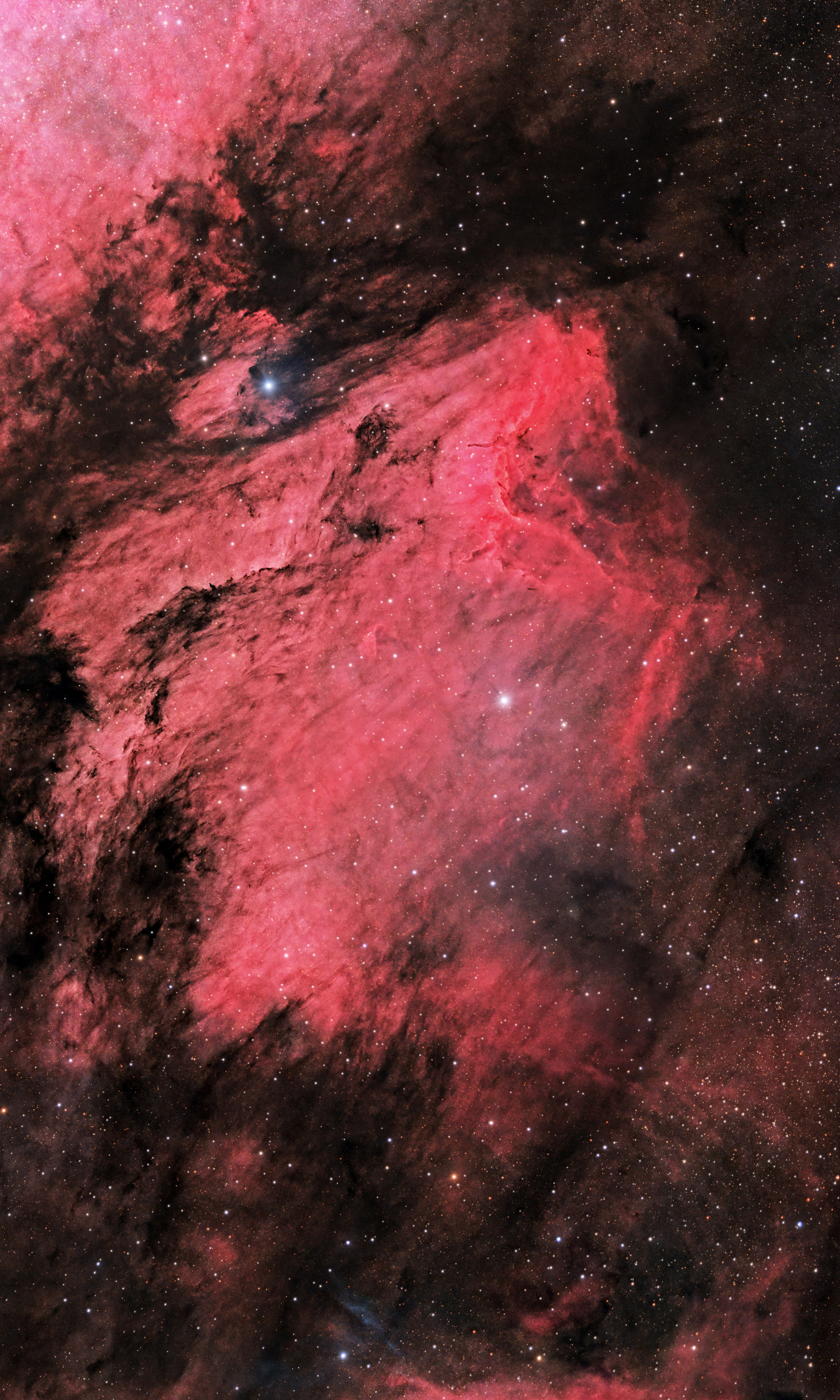 IC5070_Pelican_nebula_2025_46 x 60s_36 x 20s_PI_75.jpg