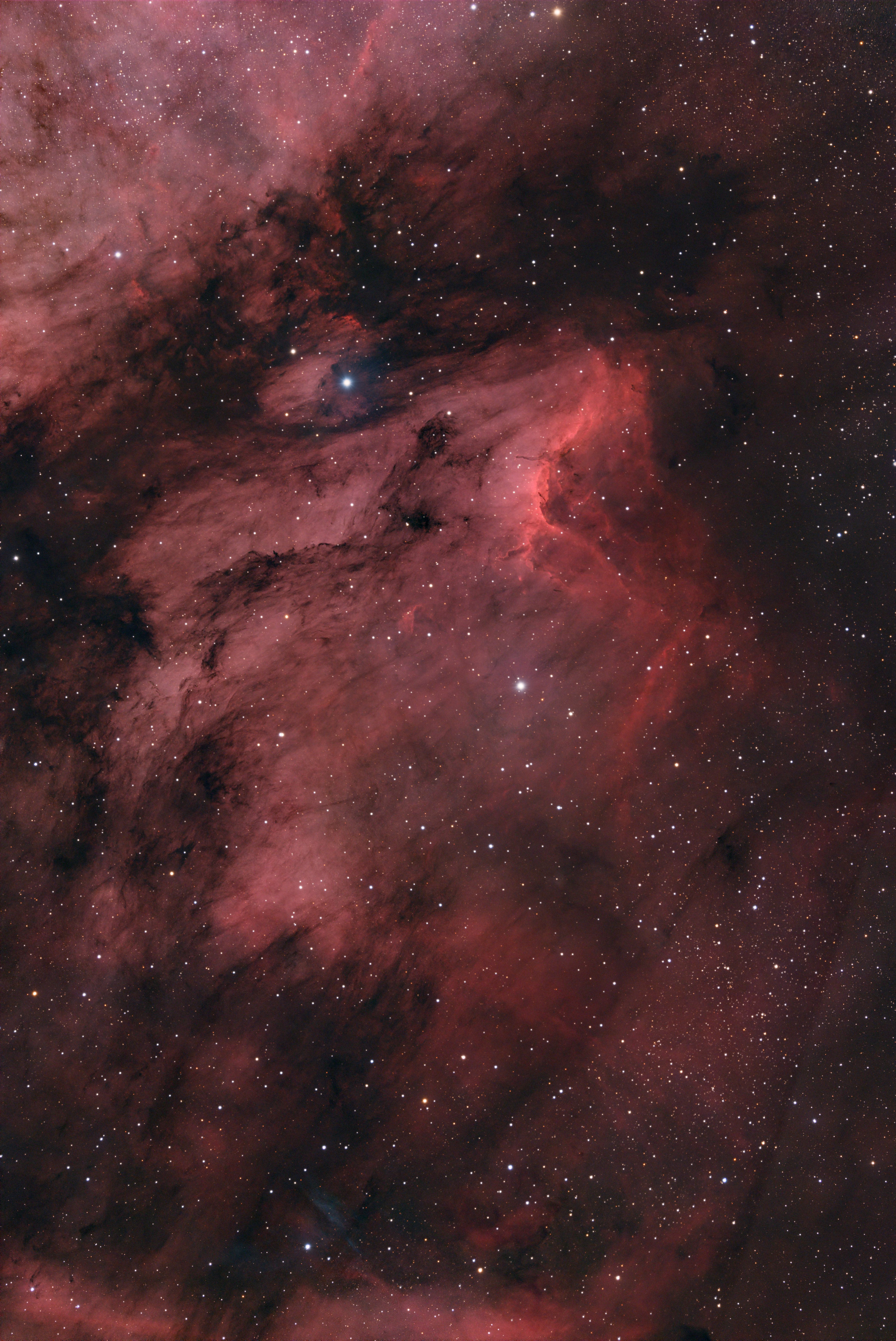 _IC5070_Pelican_nebula_2025-07-21_36 x 20s_2025_08_05_40 x 60s_PI_peto.jpg