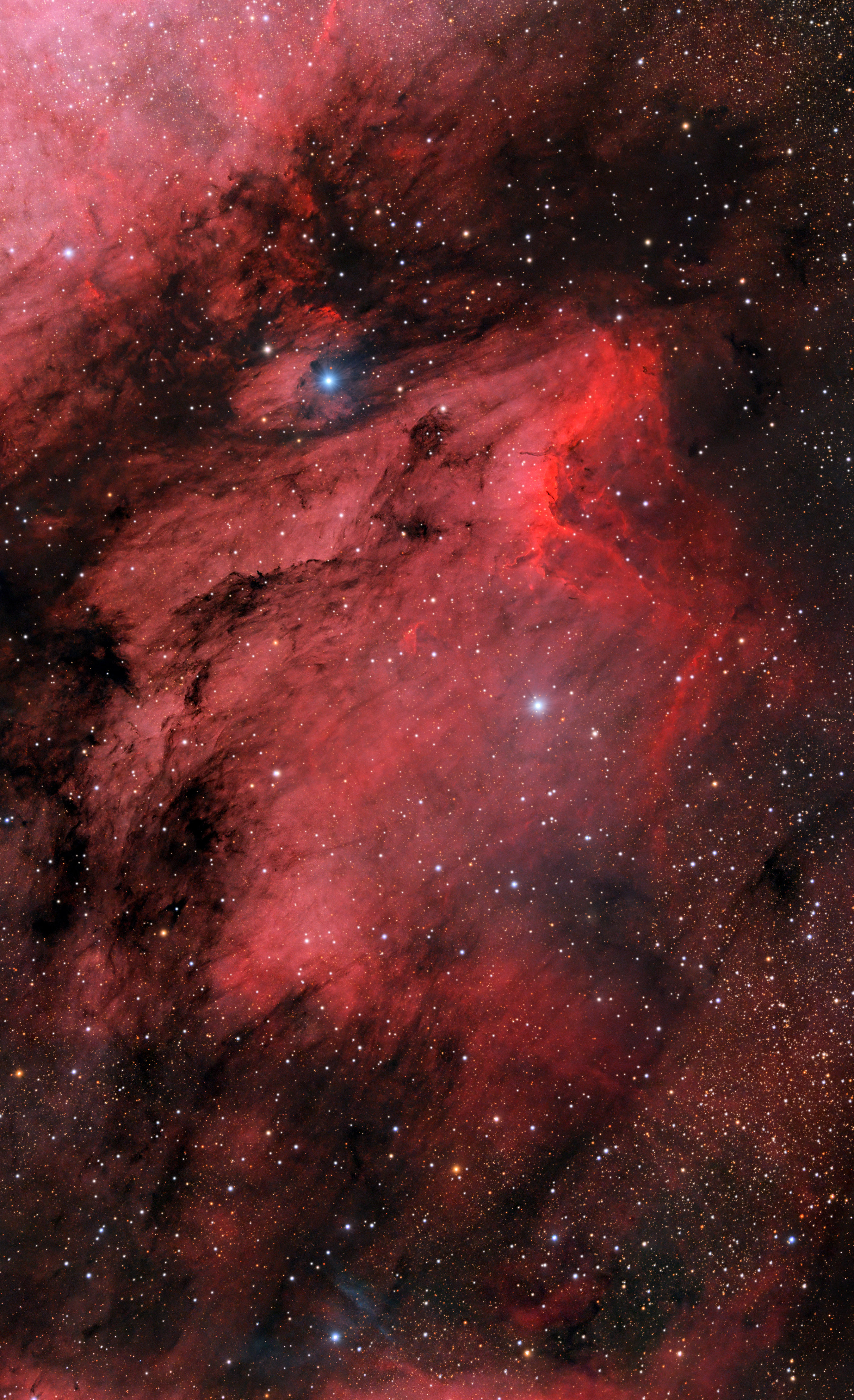 IC5070_Pelican_nebula_2025_46 x 60s_36 x 20s_PI2_75.jpg