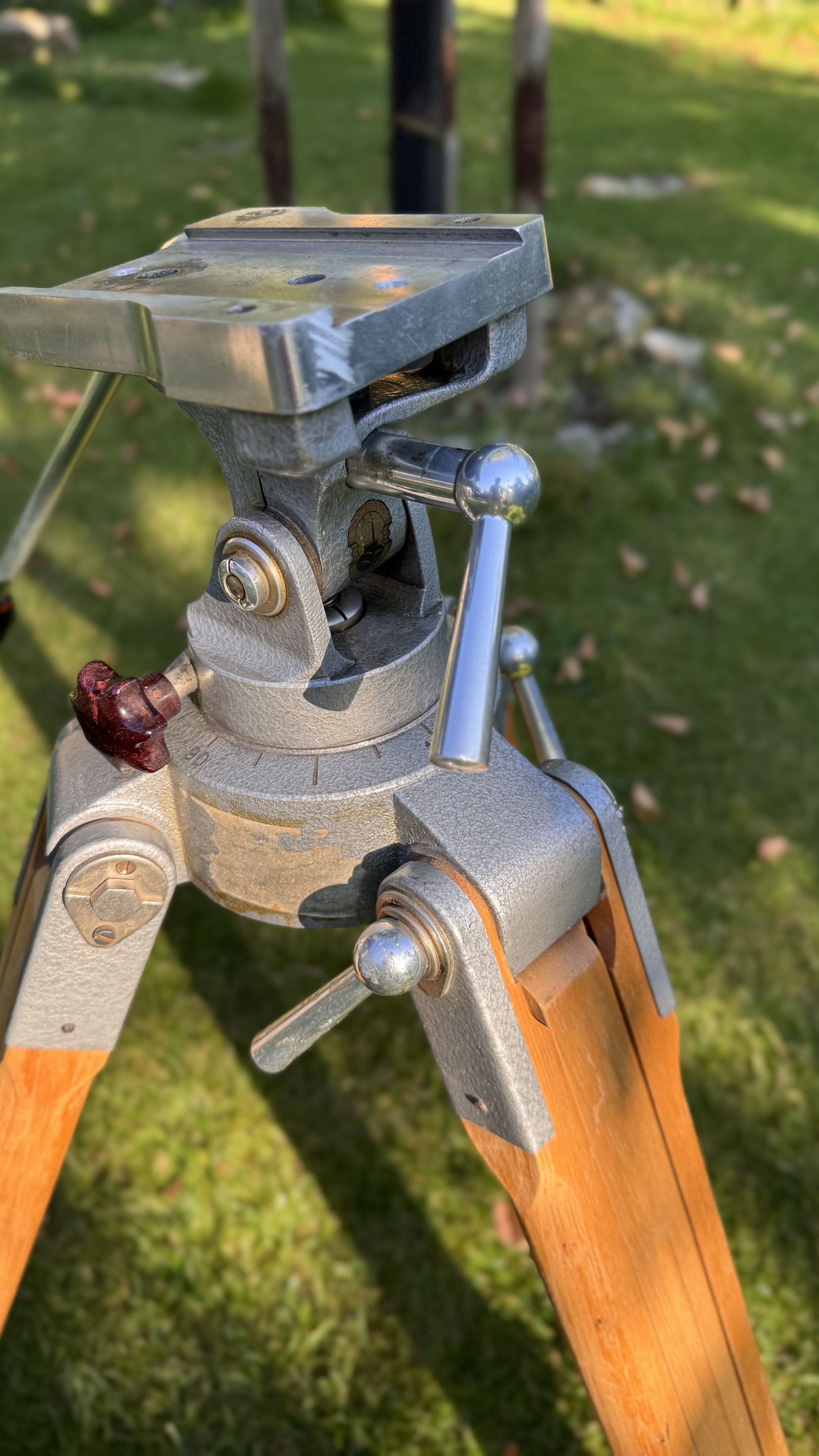 2025-09-06 17.19.05_resize.jpg