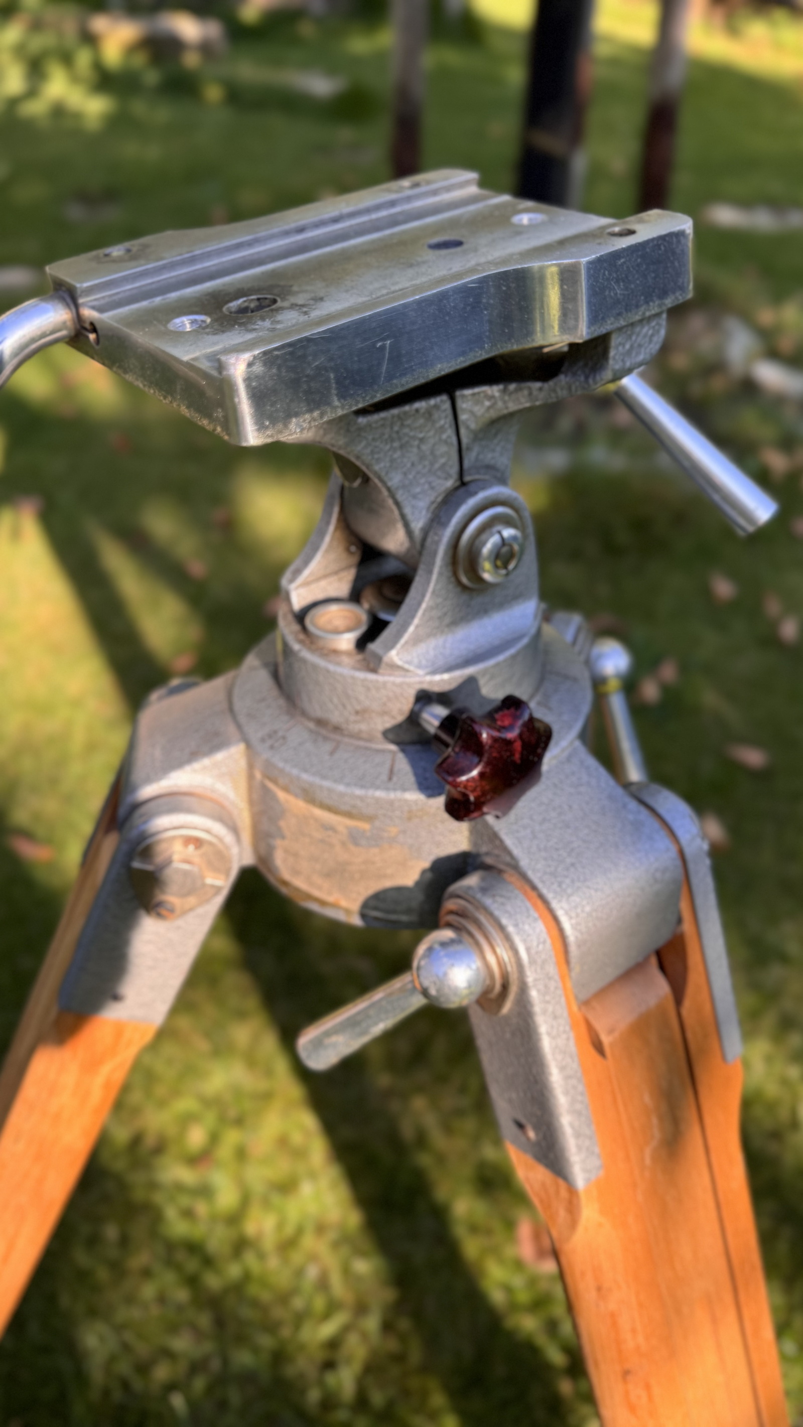 2025-09-06 17.19.00_resize.jpg