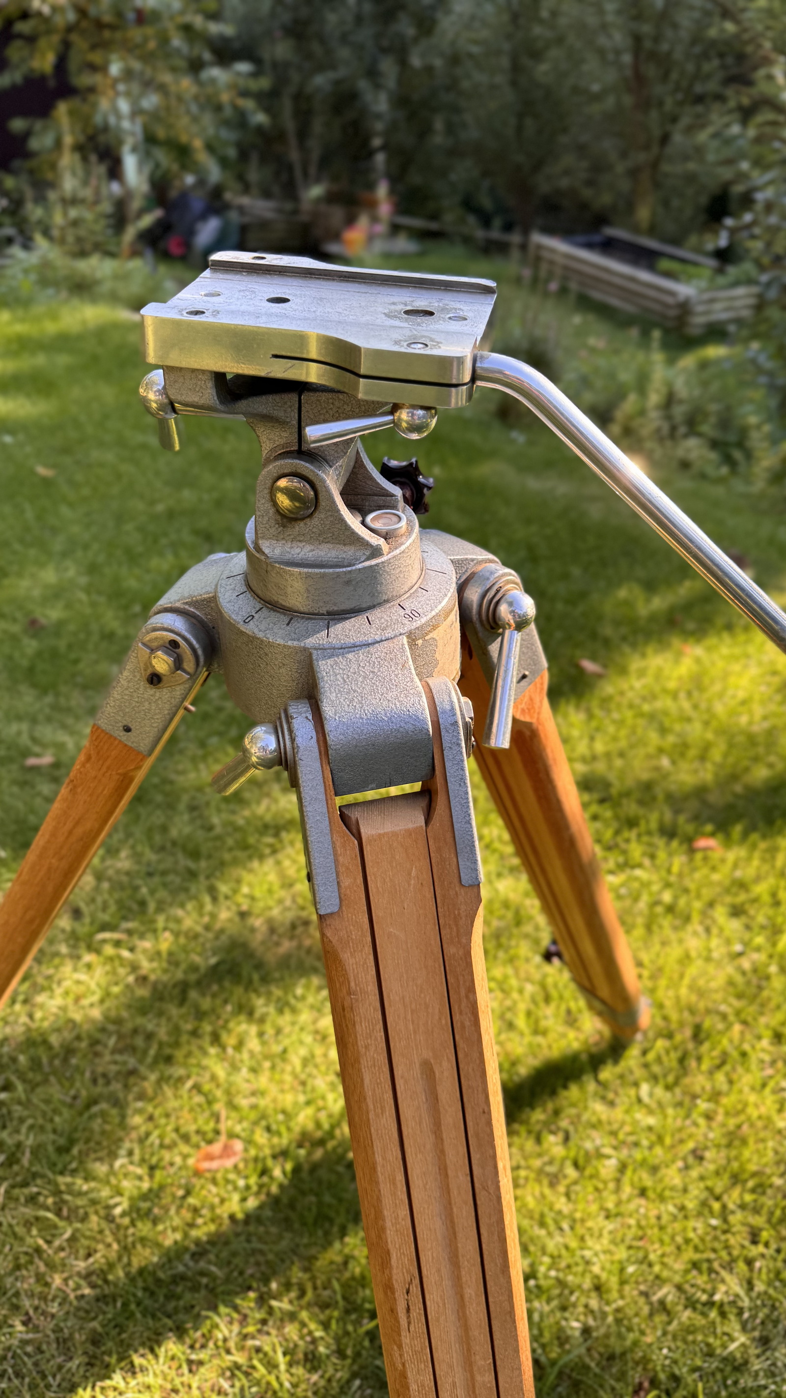 2025-09-06 17.18.54_resize.jpg