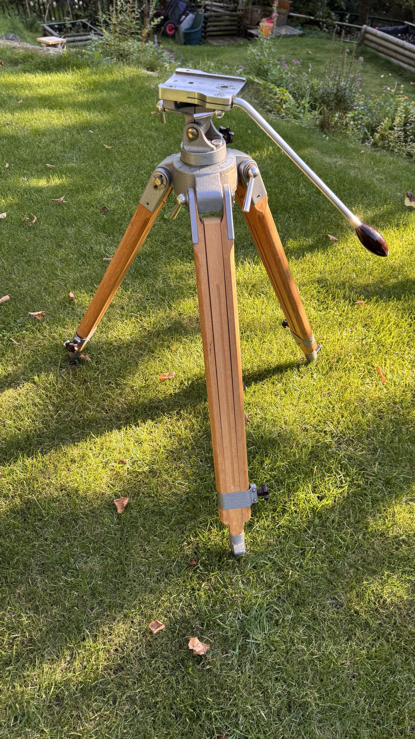 2025-09-06 17.18.51_resize.jpg