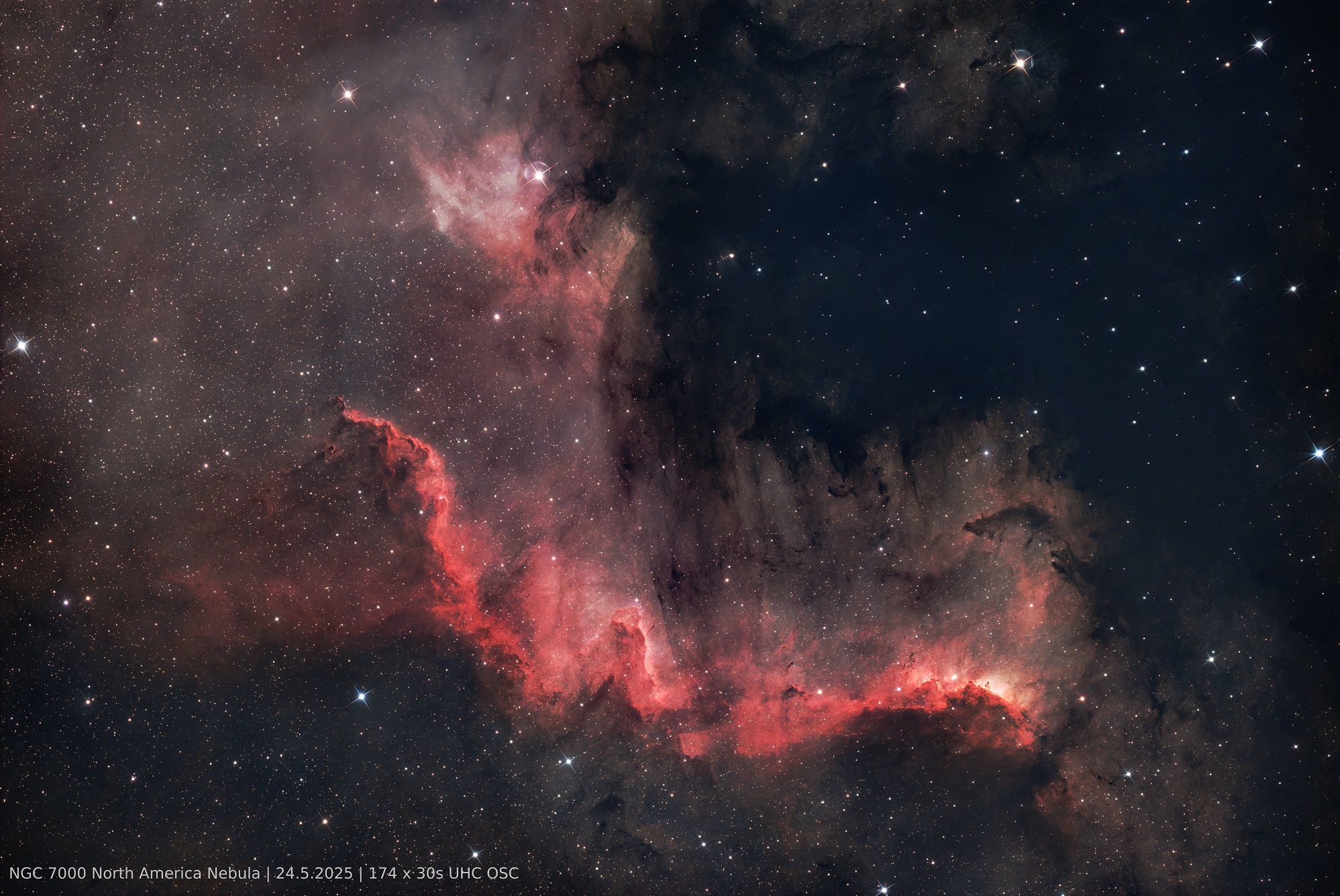 NGC7000_NorthAmericaNebula-CygnusWall_2025-05-24.jpg