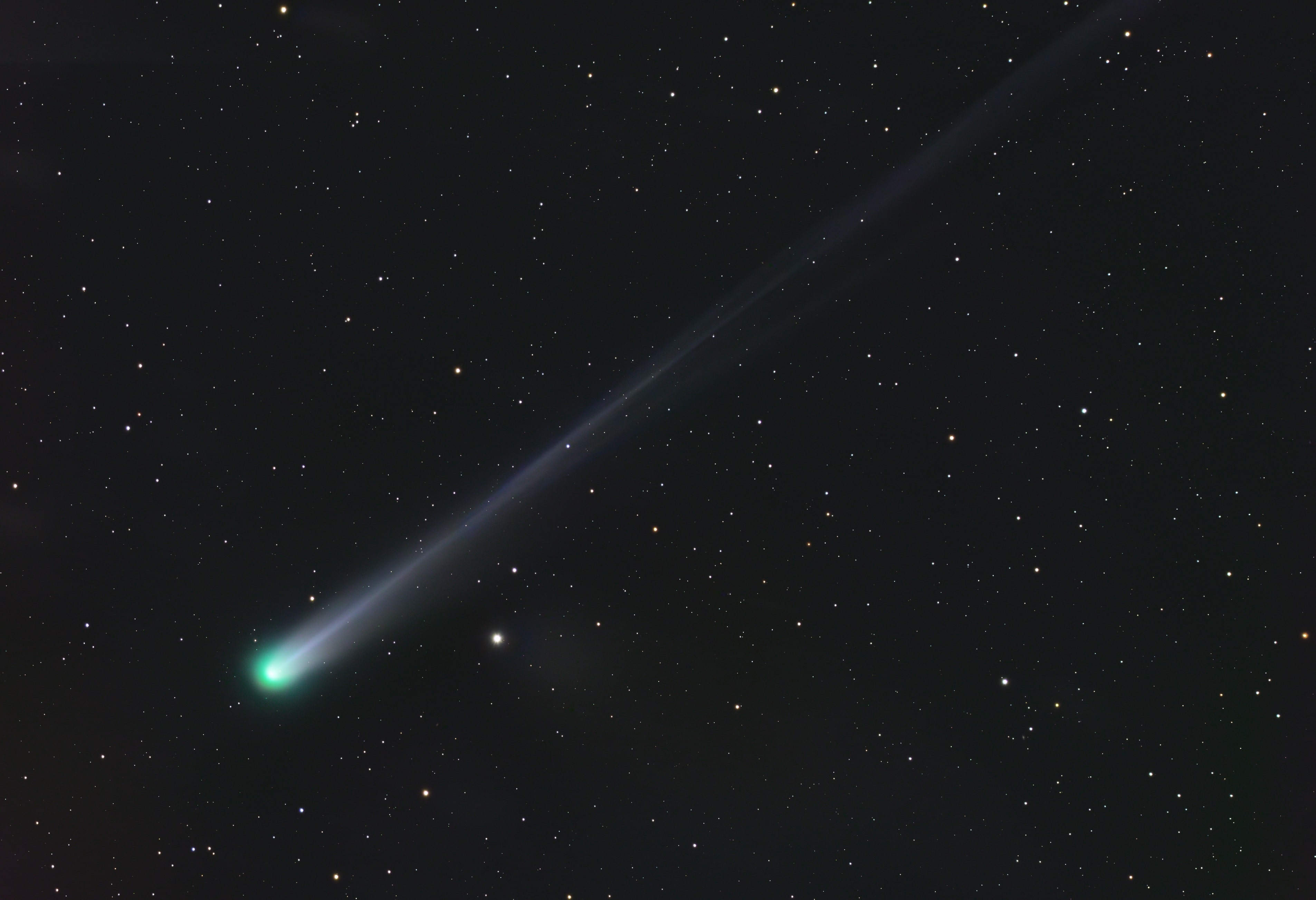C2025_A6_Lemmon_v2-min.jpeg