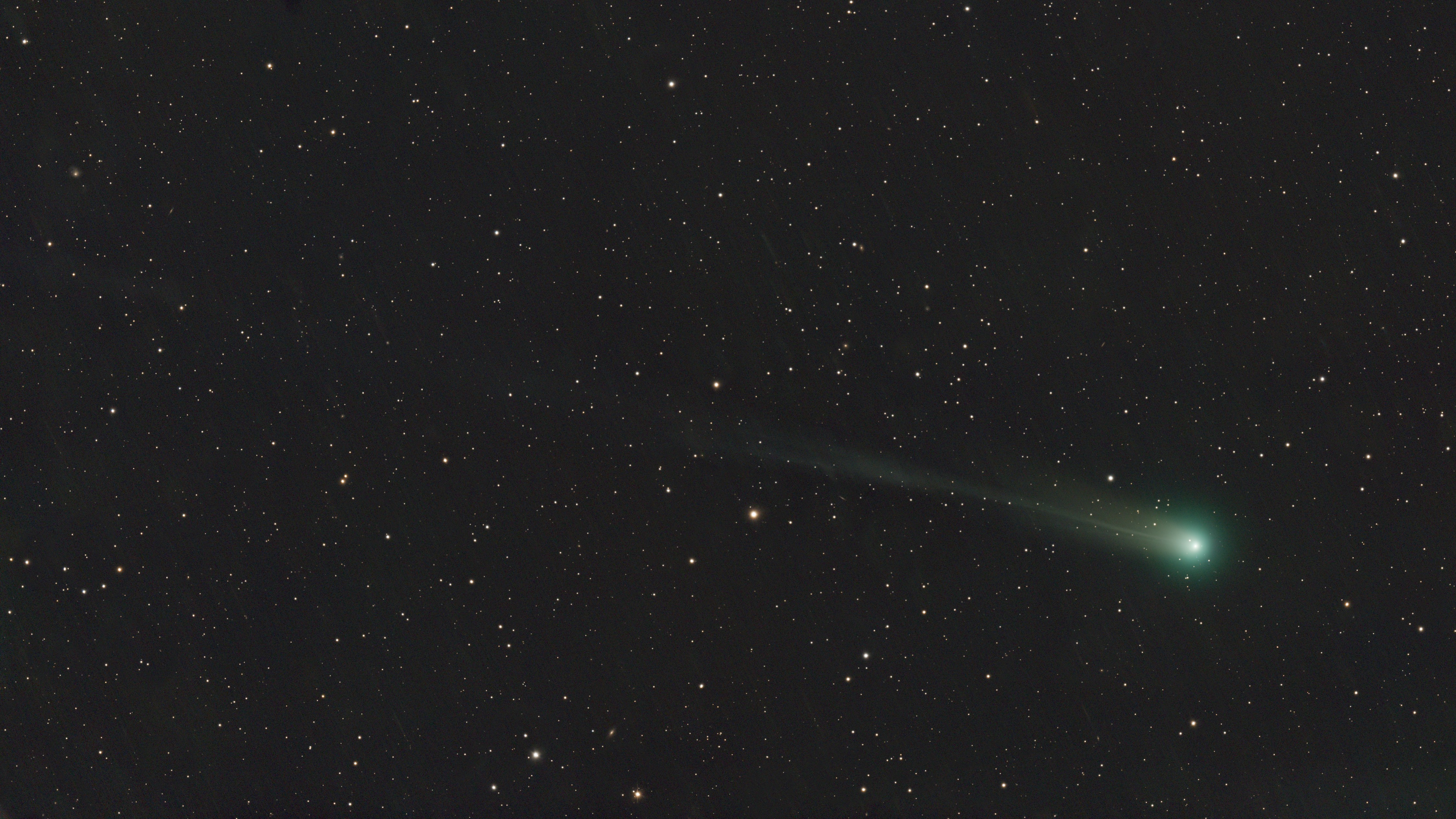C_2025_A6_Lemmon.jpg