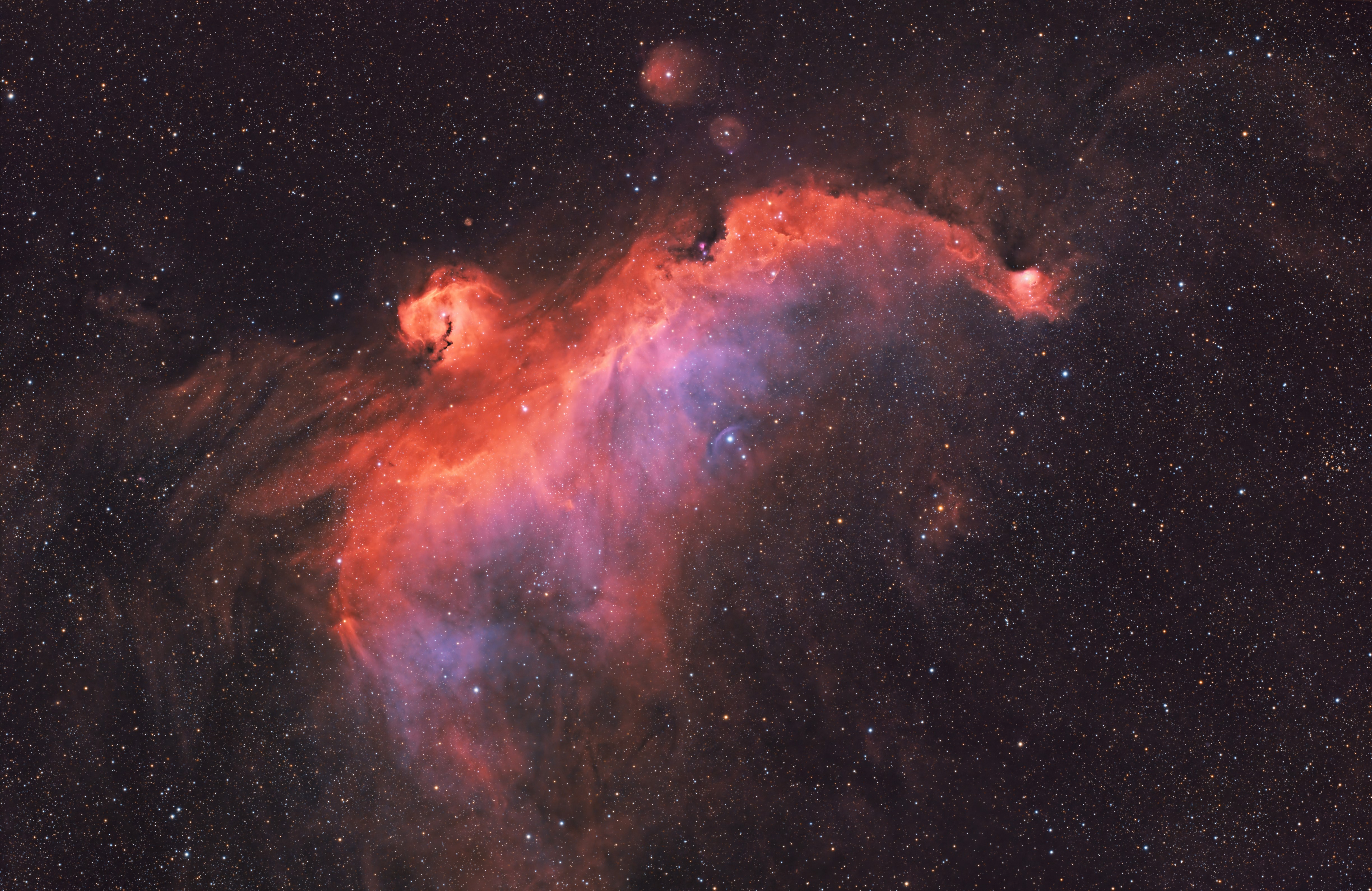 IC 2177_Seagull SHO_AF.jpg