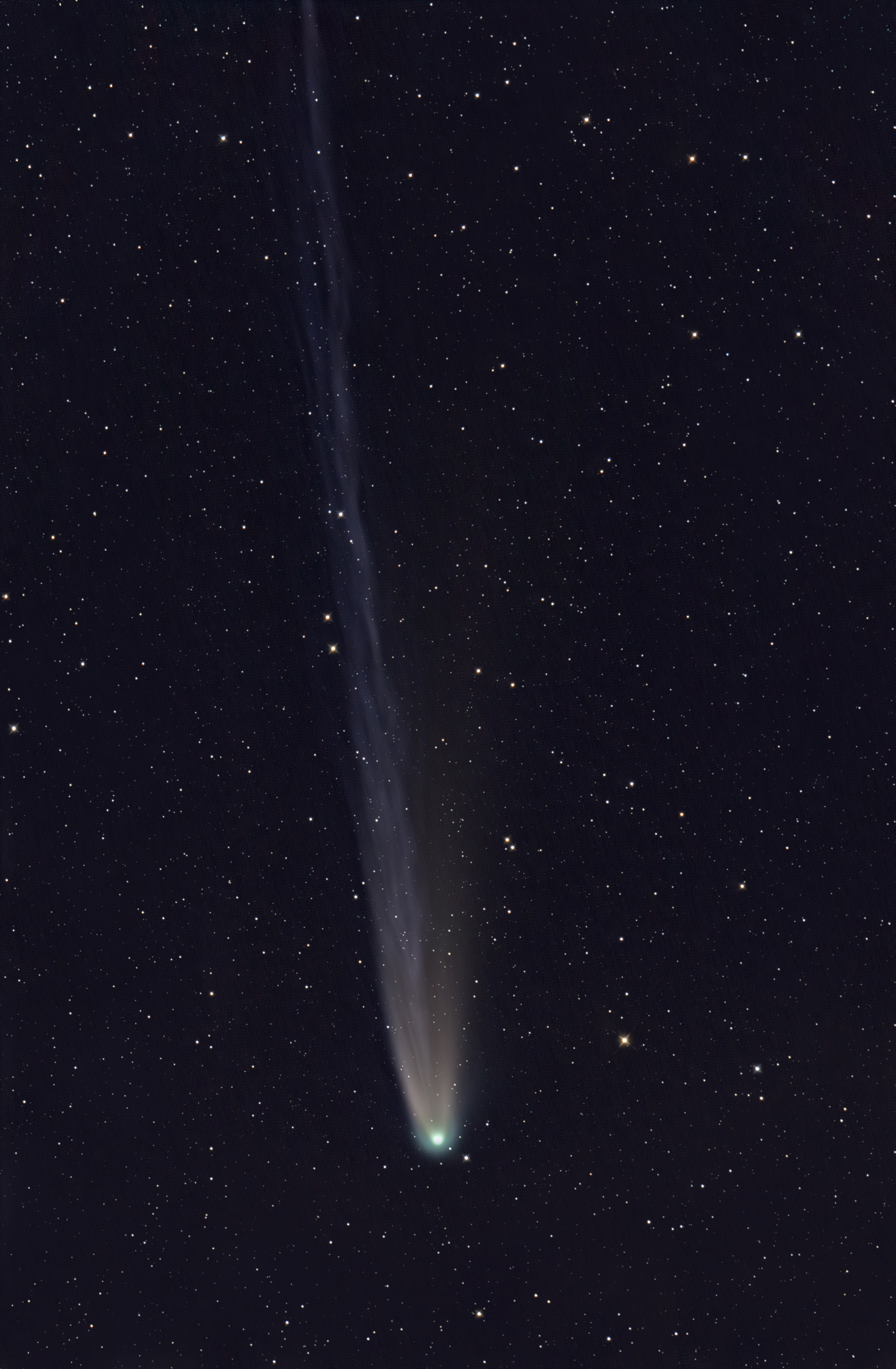 C2025 A6 var.3.jpg