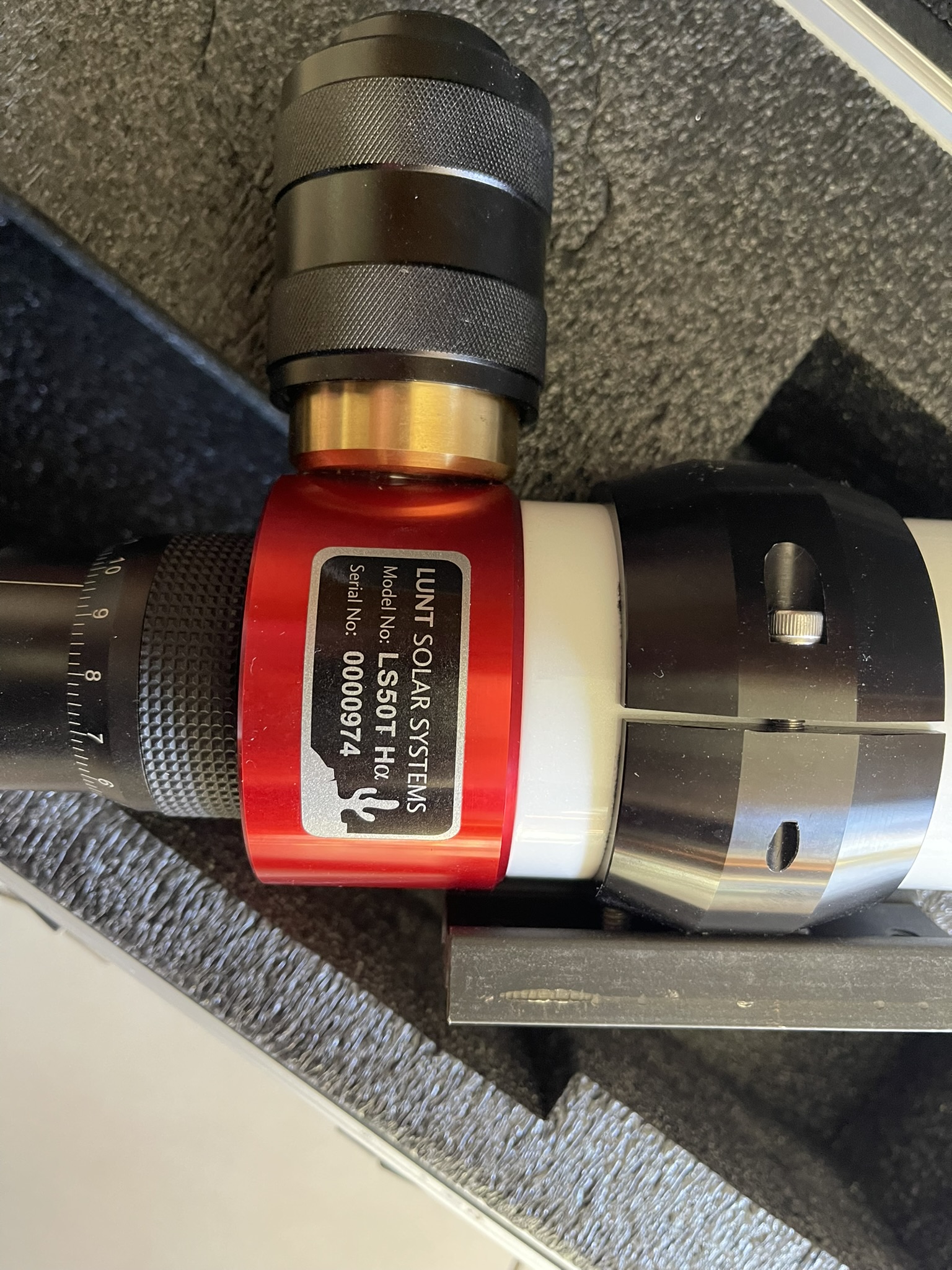 IMG_4144.JPEG