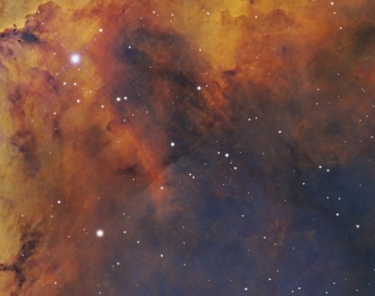 Tulipán_sample grid 1.jpg