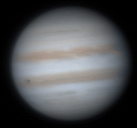 animated_w195h182c255.gif