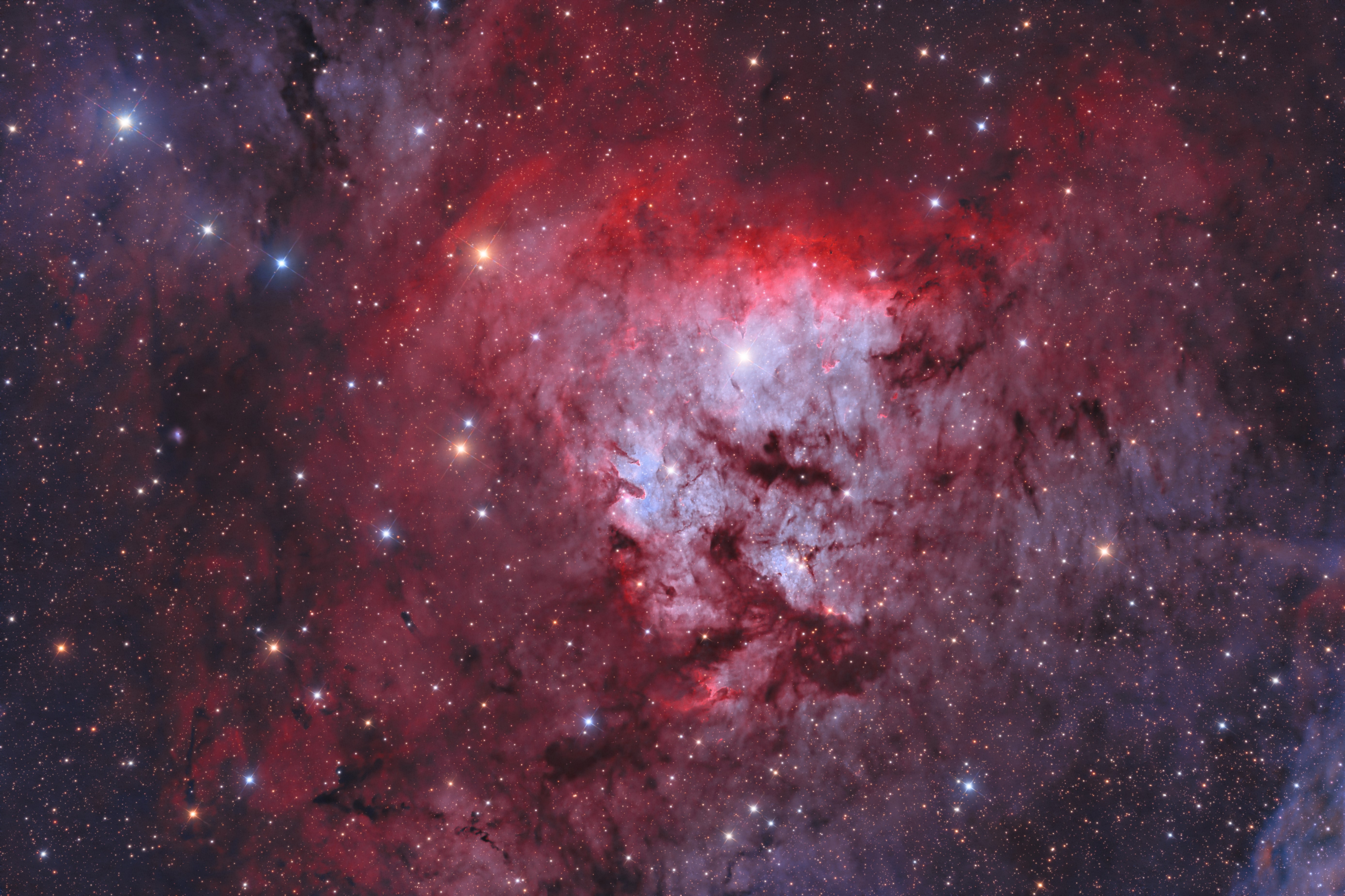 NGC 7822_enh Bicolor_AF.jpg