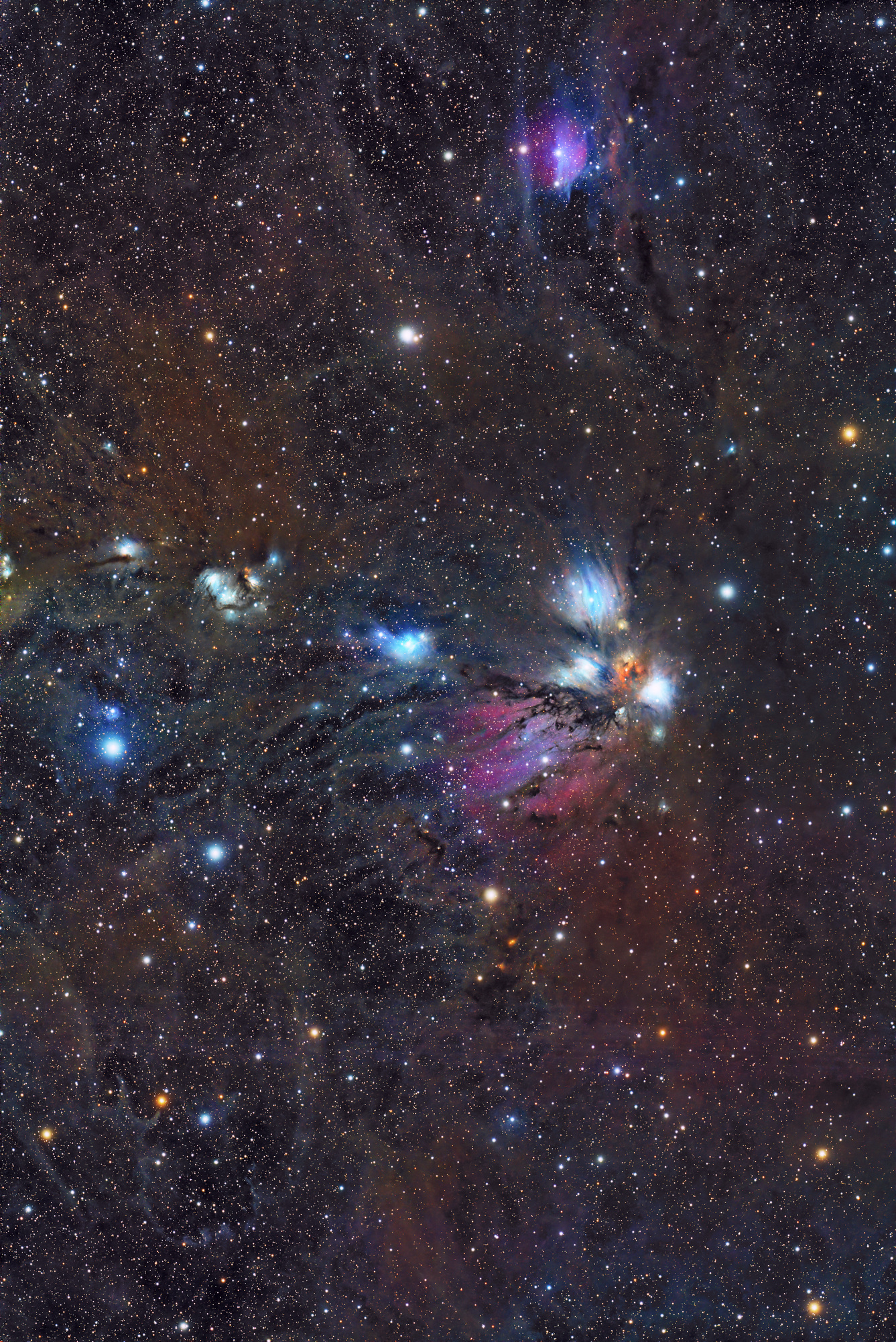 20251218 plus NGC2170 SQA106 ASI2600mc 90x300s no filter 2000px.jpg