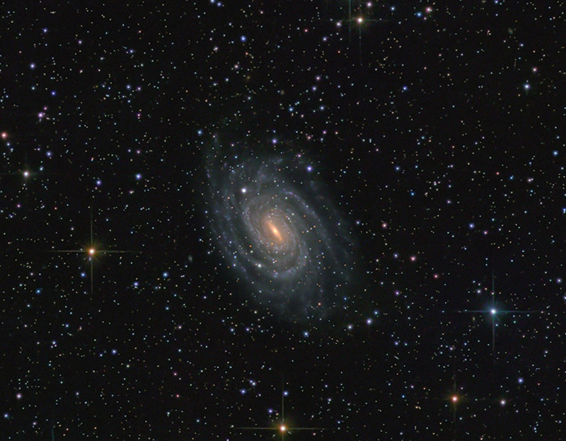 N6384.jpg