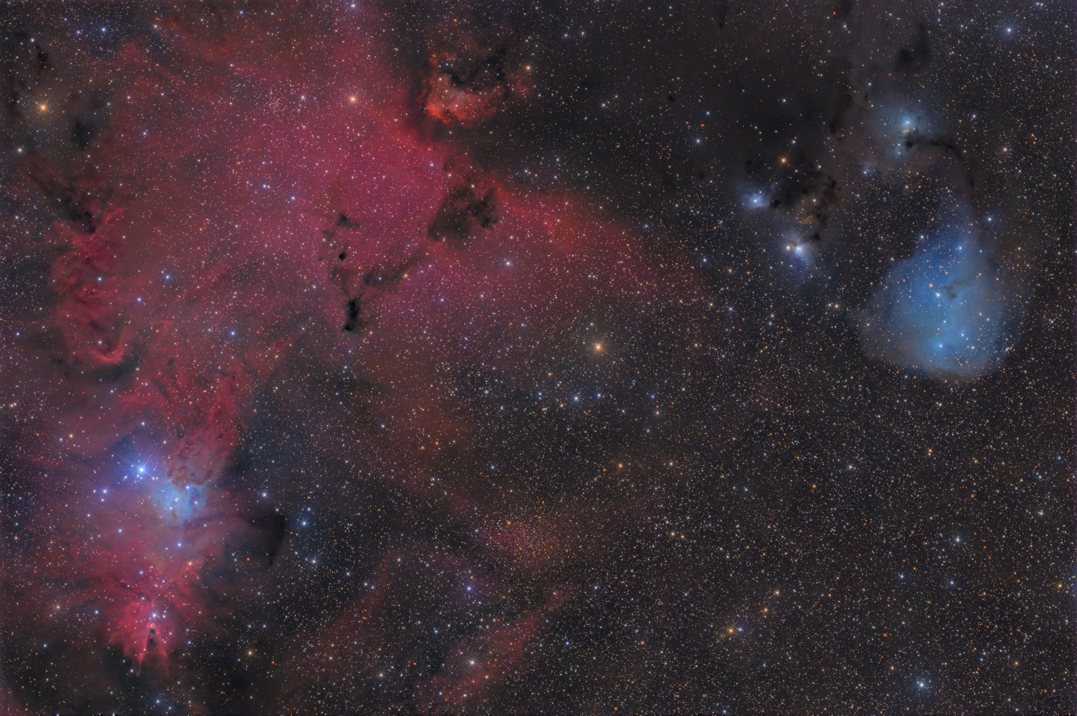 NGC2264 IC2169 astro-forum.jpg