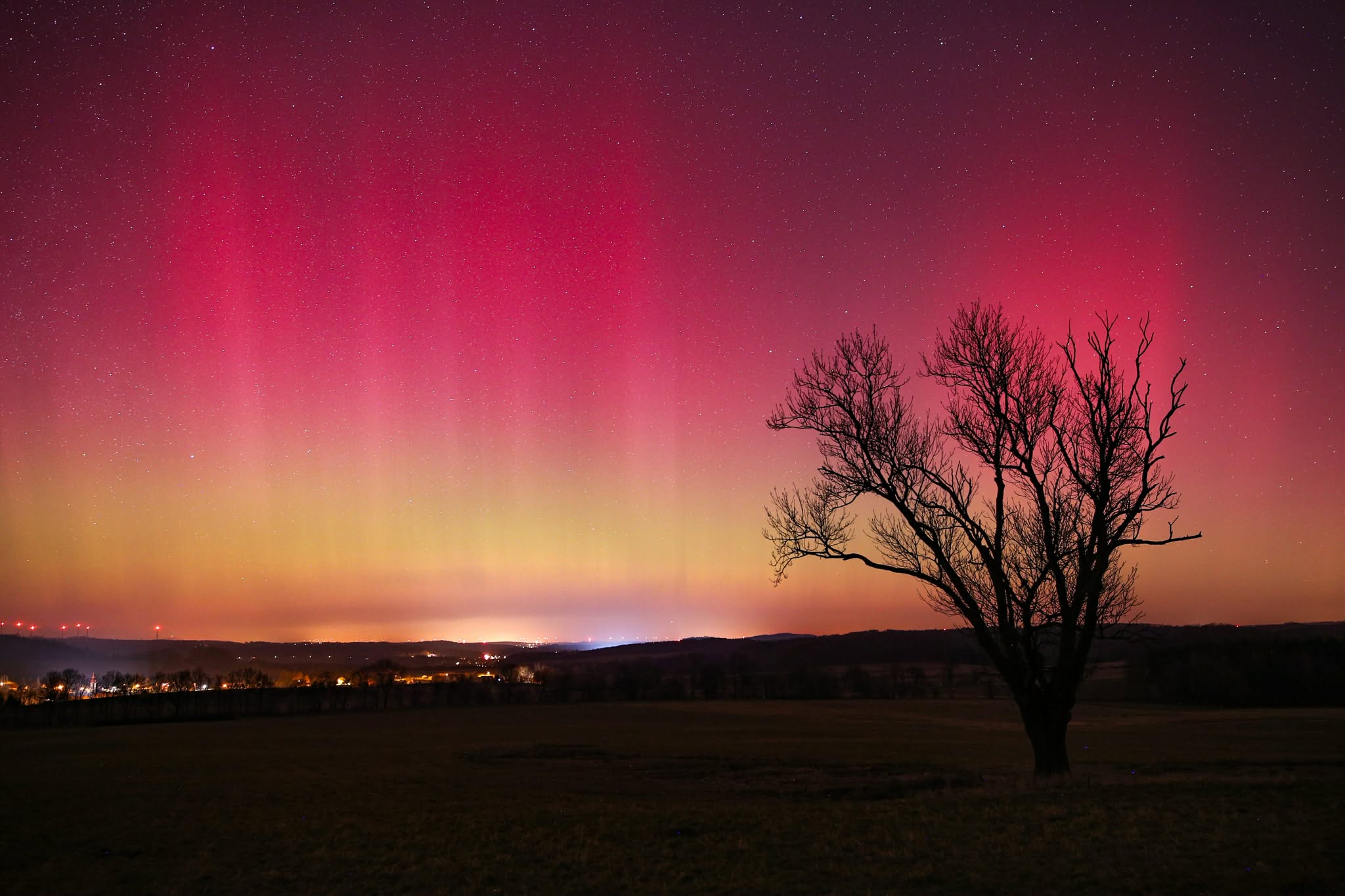 polarni zare 20260121 Dan Kurtin.jpg