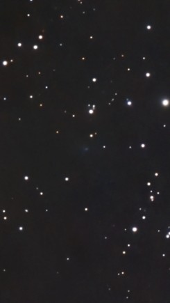 1769017509660 (1).jpg