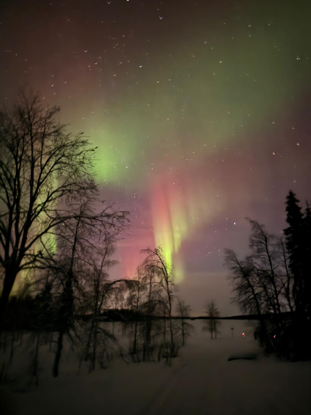 WhatsApp Image 2026-02-04 at 20.12.16.jpeg