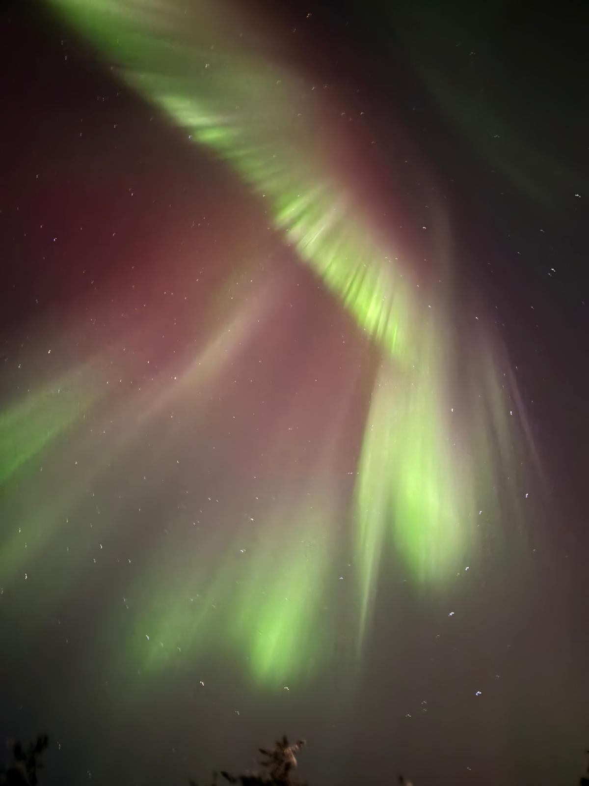 WhatsApp Image 2026-02-04 at 22.31.11.jpeg