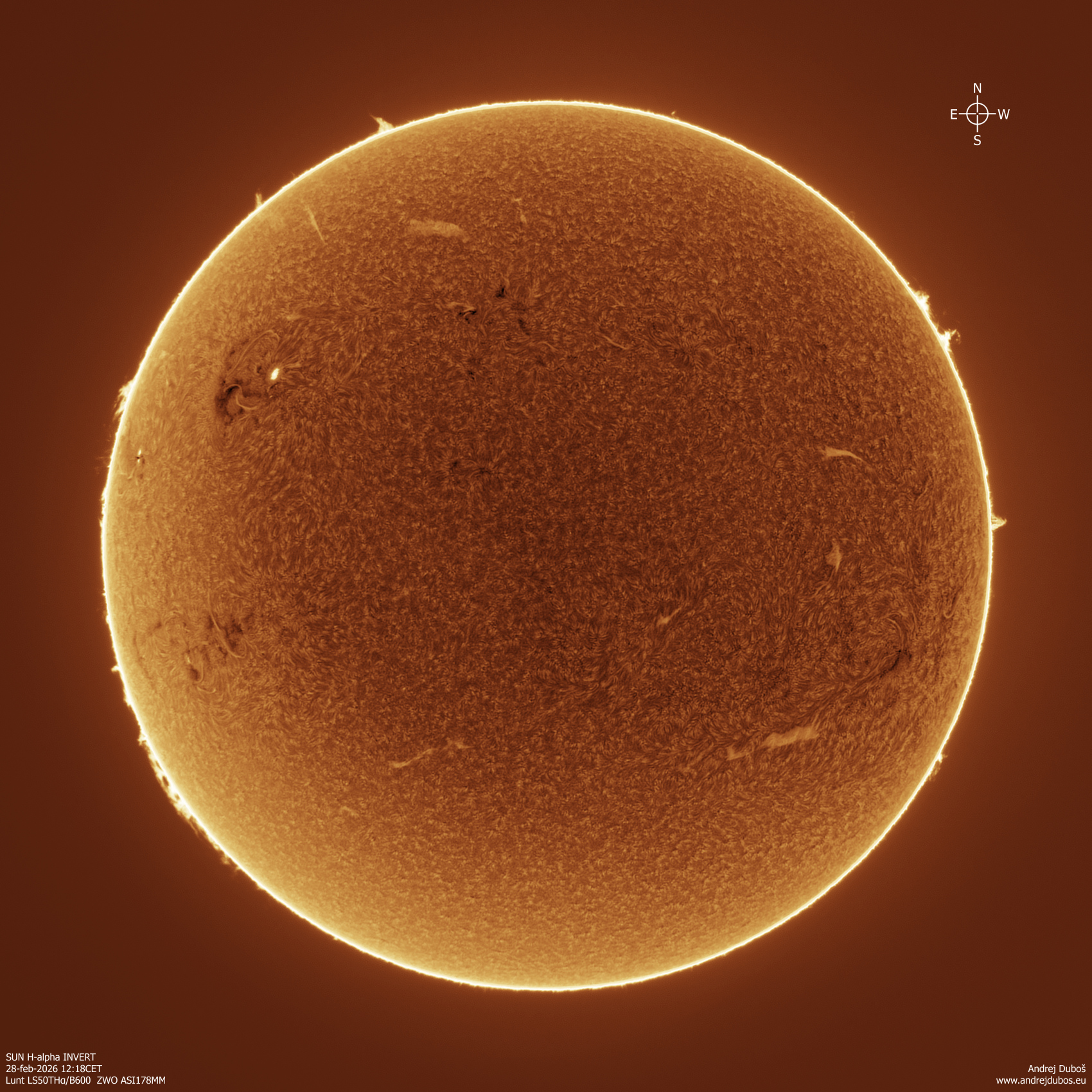 2026-02-28_12-18CET Halpha INVERT.jpg