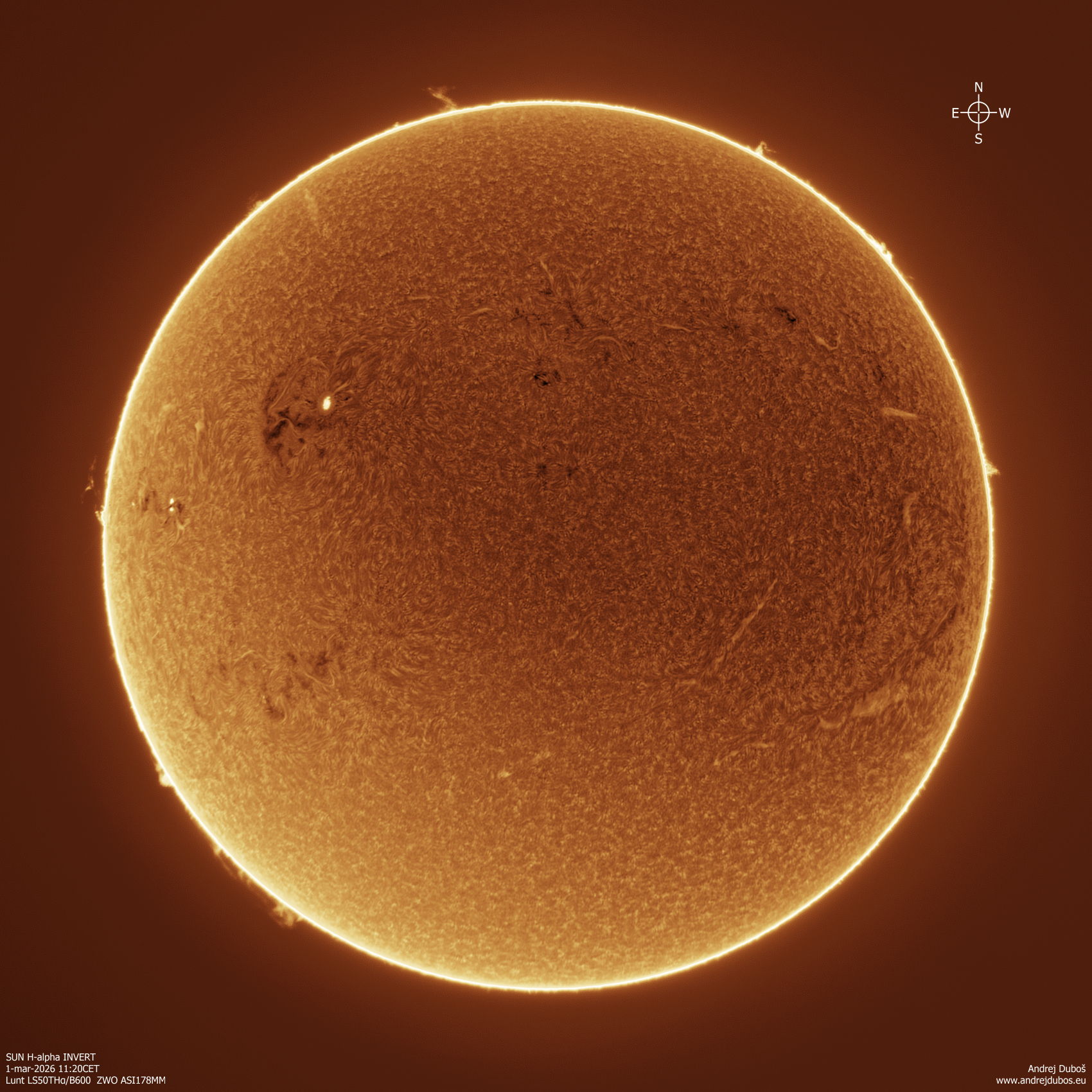 2026-03-01_11-20CET Halpha INVERT.jpg