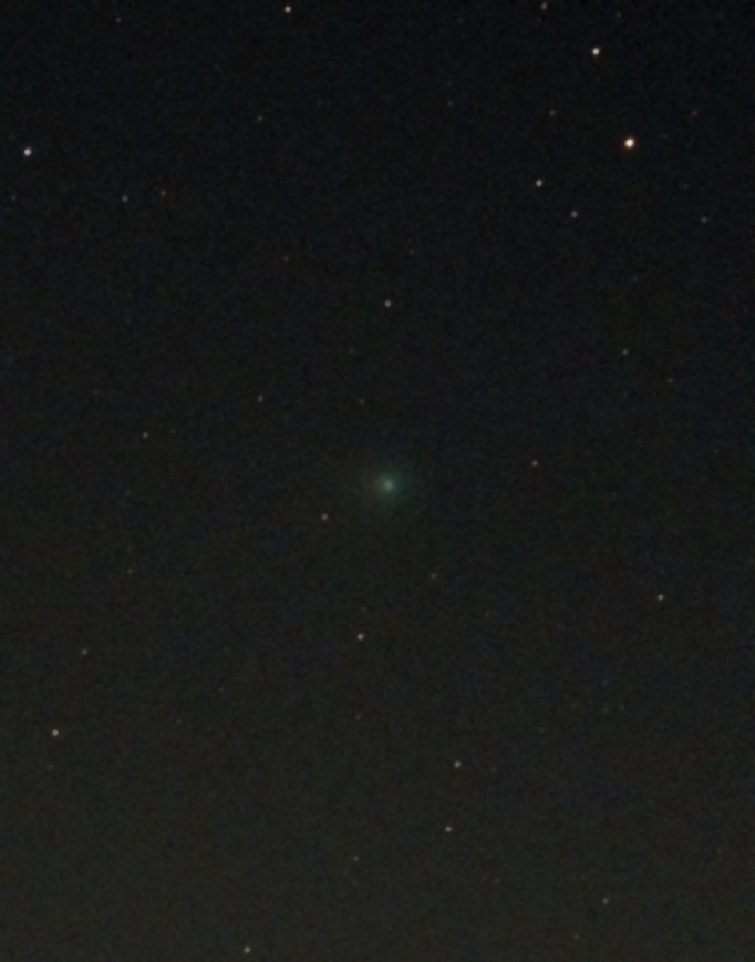 C2024 E1 Wierzchos.jpg