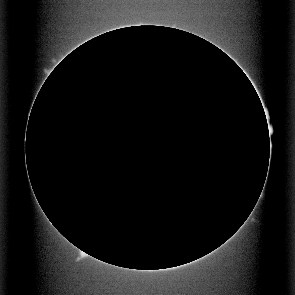 scan_20260309_protus_0_00.png