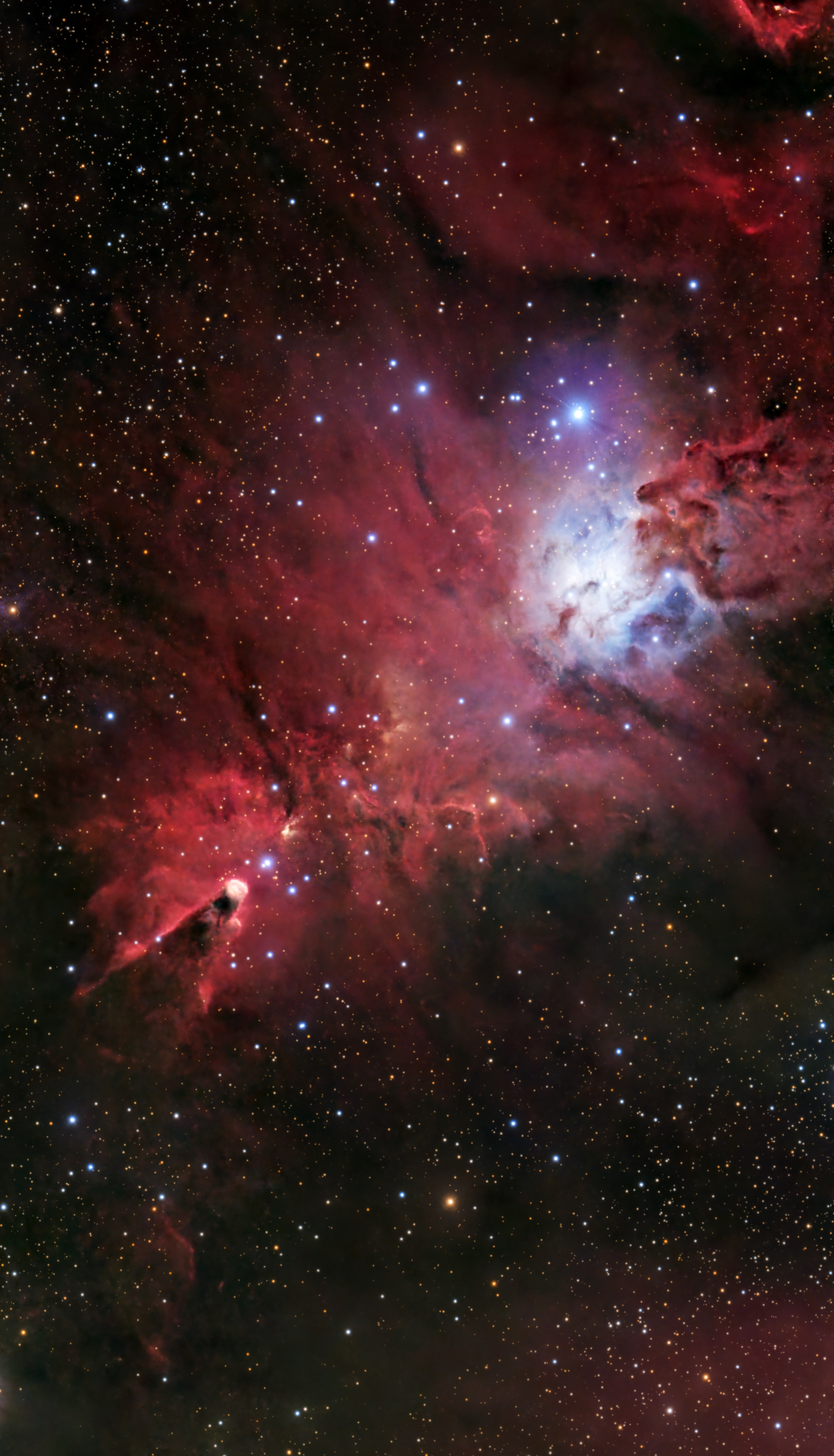 NGC 2264_2026-03-07_43 x 60s_PI_AF3.jpg