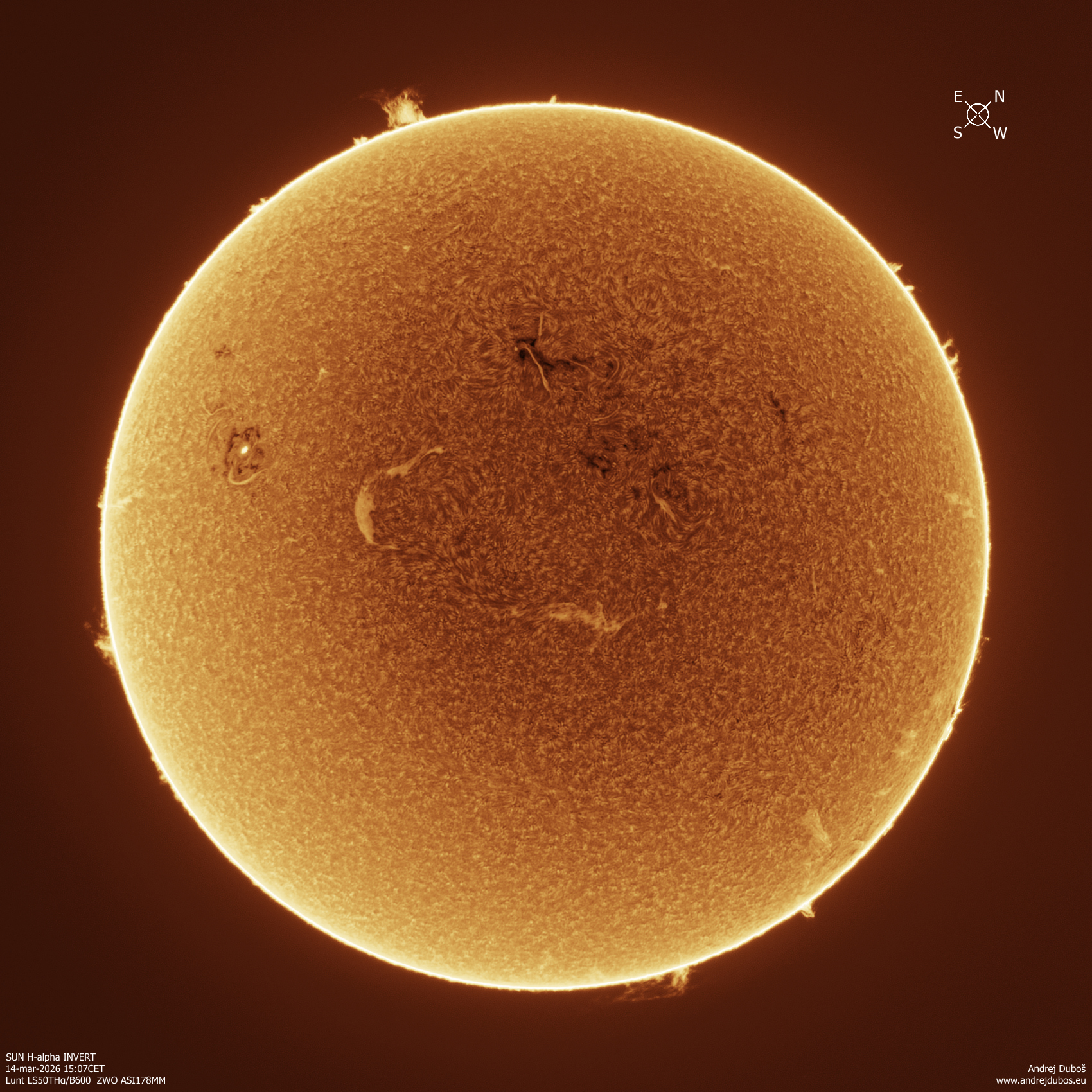2026-03-14_15-07CET Halpha INVERT.jpg