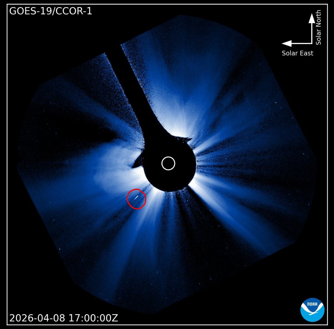 Screenshot_20260408_221944 (1).jpg