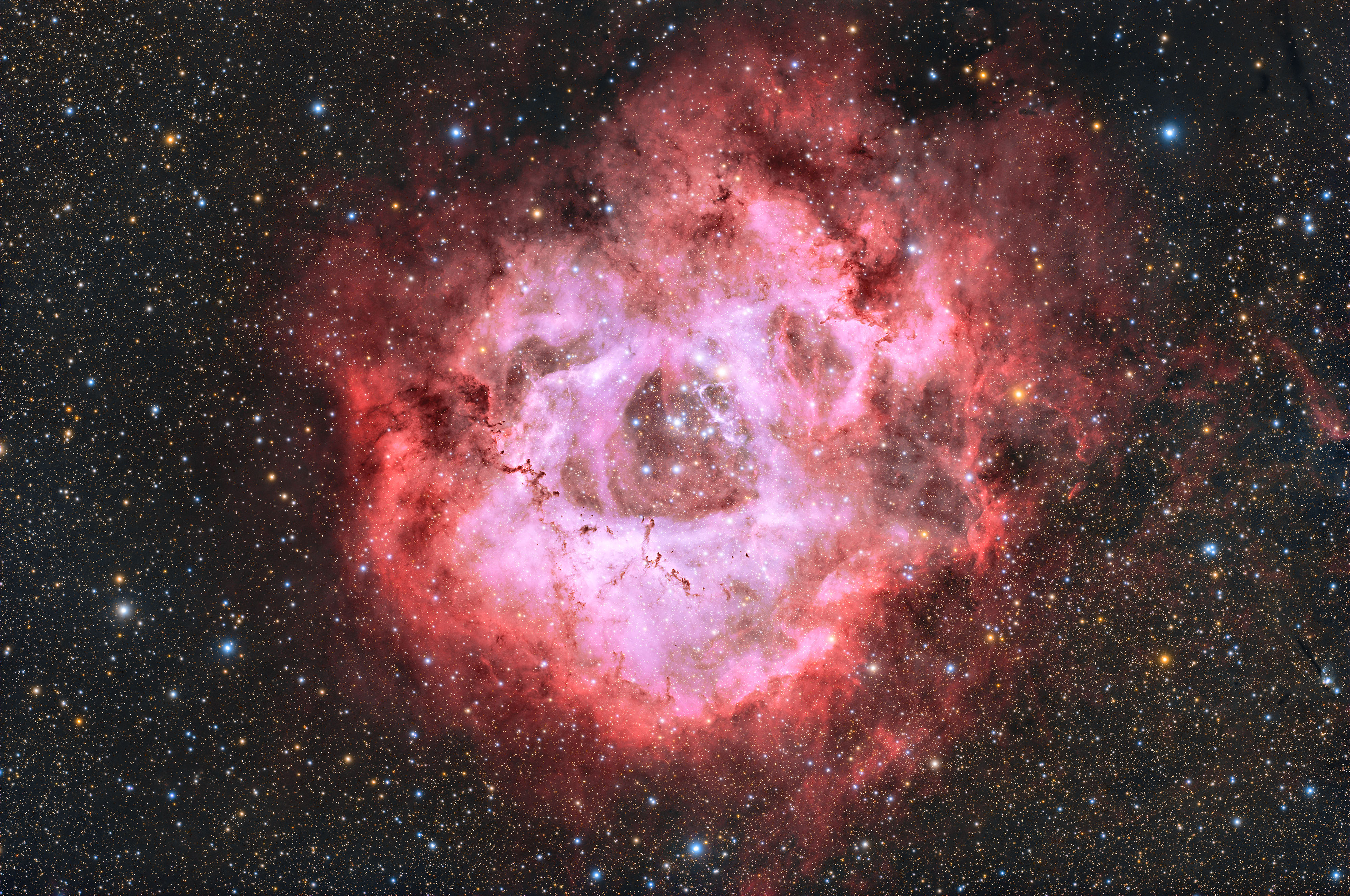 Rosette_AF.jpg
