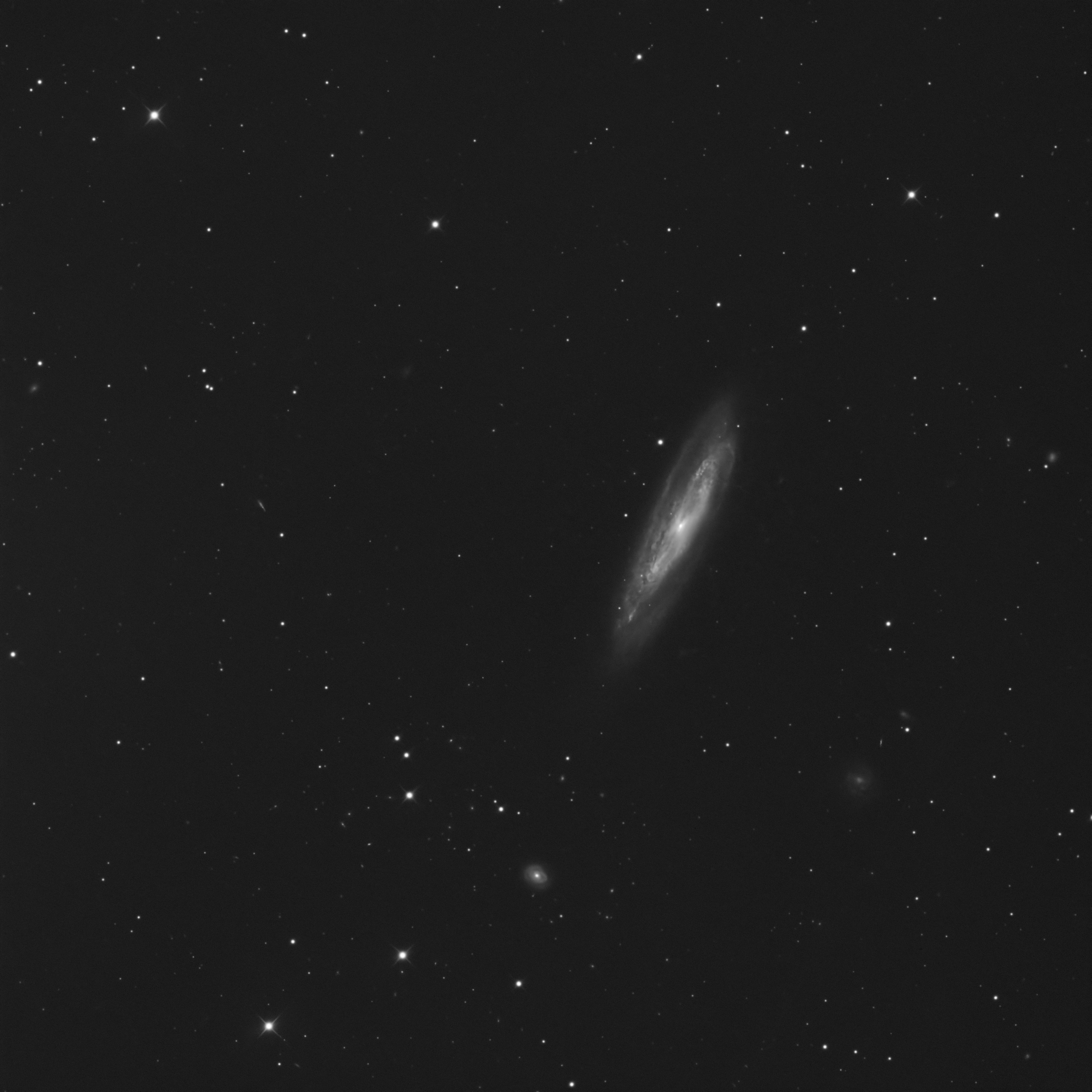 m98_34D-gale_30x60s_v1.jpg