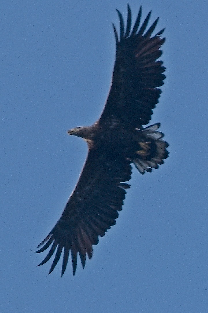 ADSC06136.jpg