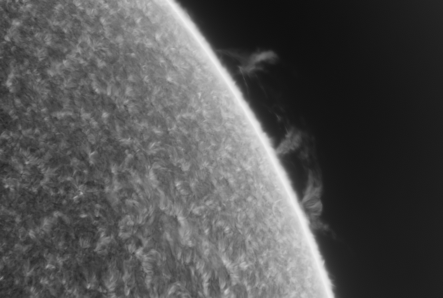 2026-04-29-0634_0F.jpg