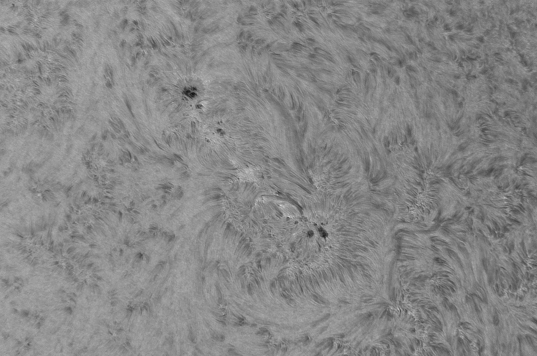 2026-04-29-0642_8F.jpg