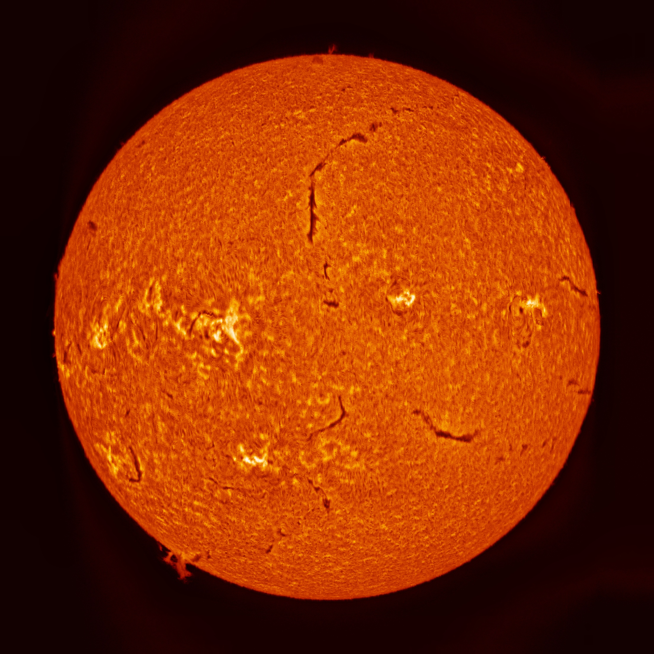 2026-05-02T09_16_31__20260502_colorized_0_00-ExTx100Zr25.jpg