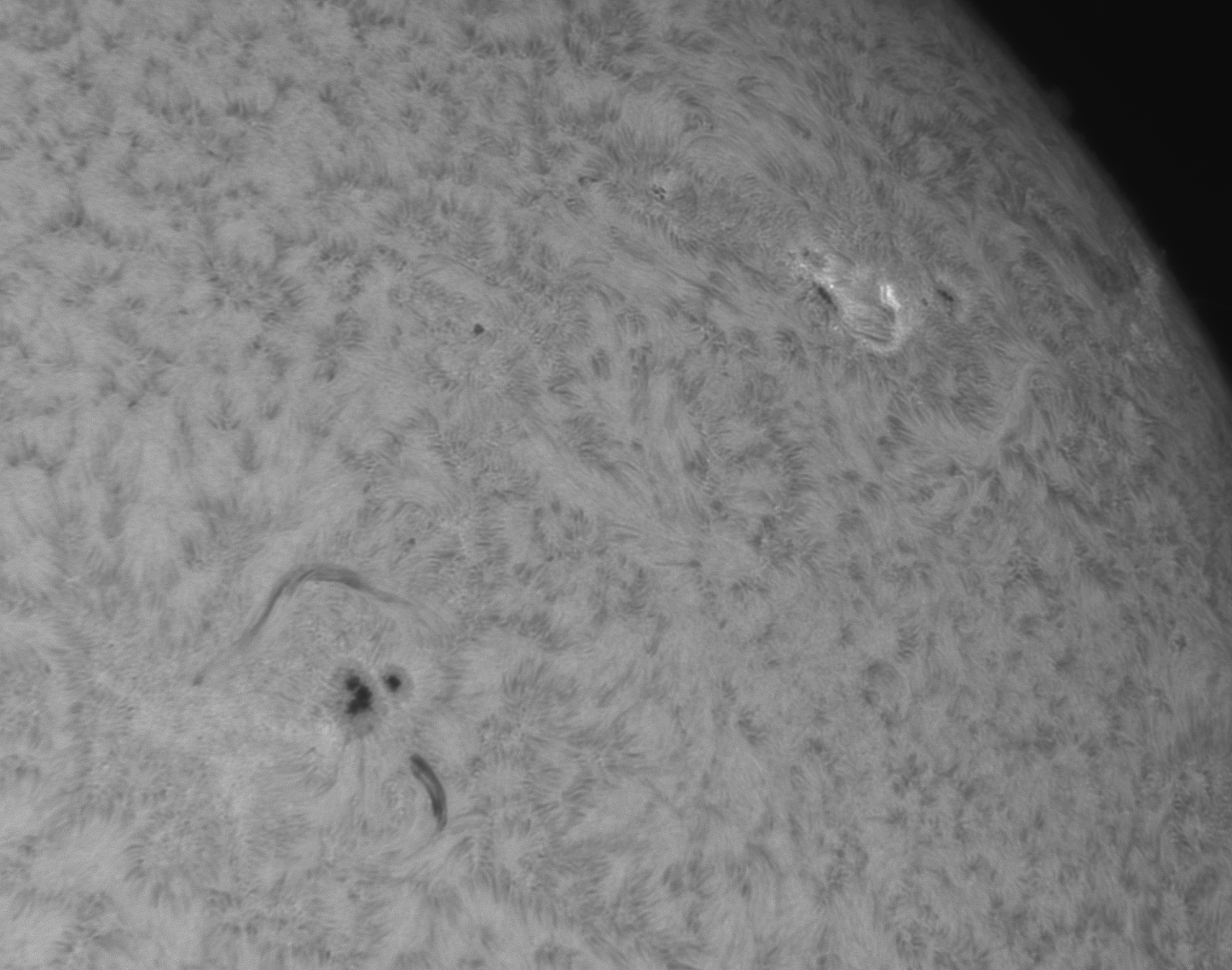 2026-05-02-0637_8F.jpg