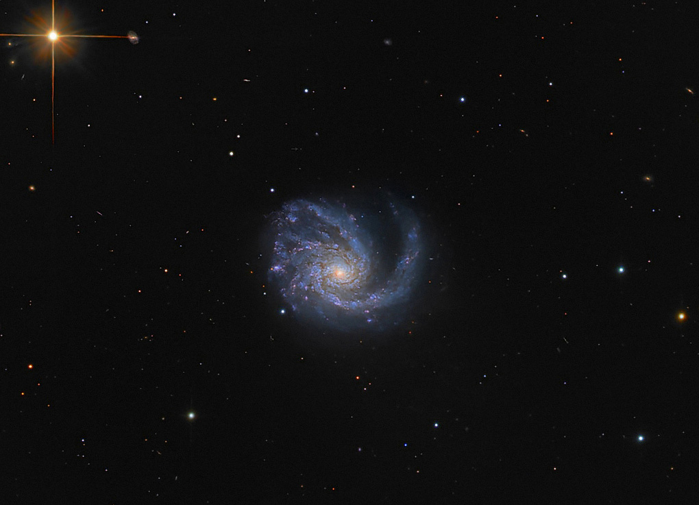 M99.jpg