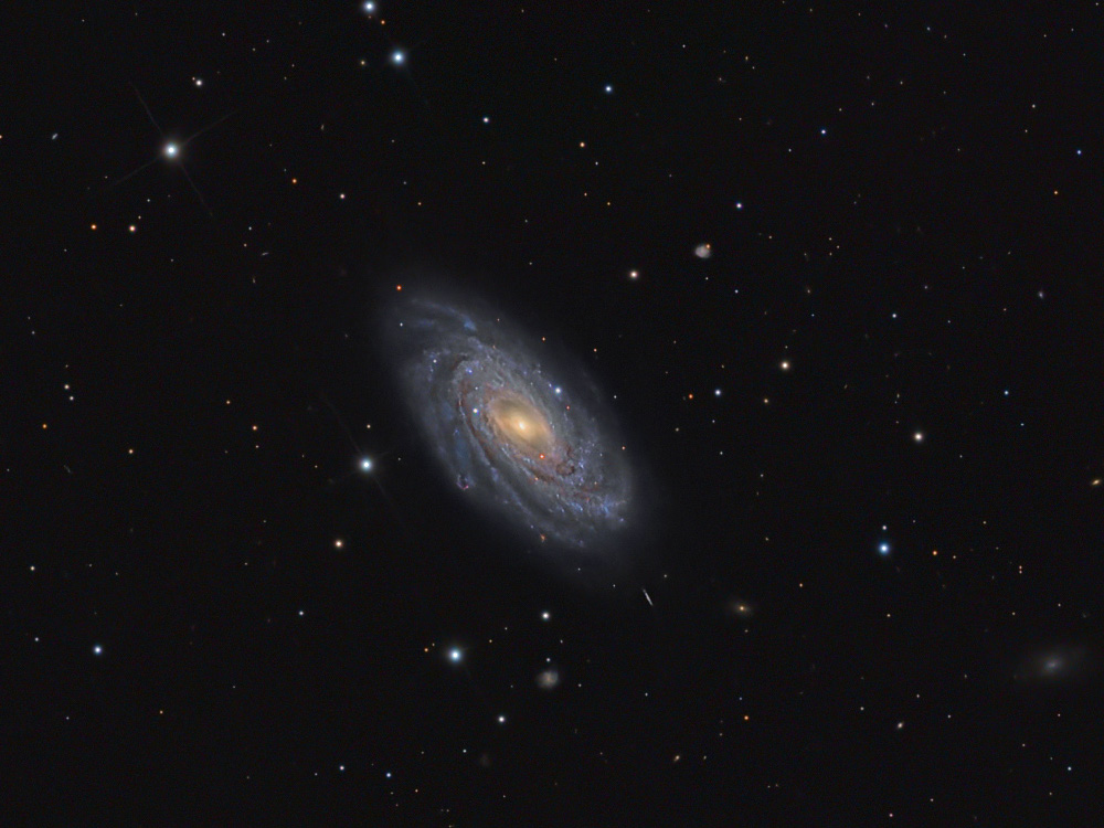 N3953_1.jpg